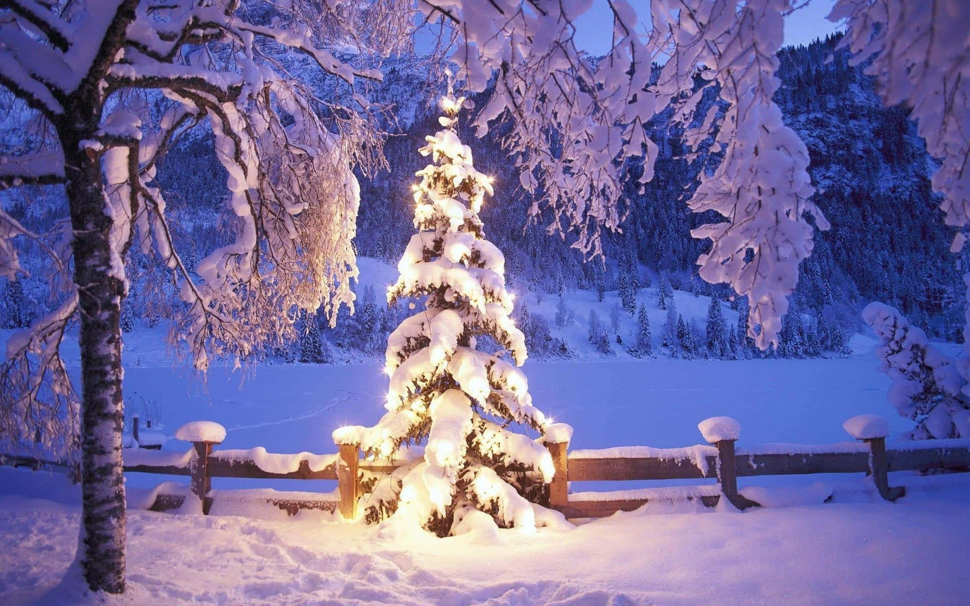 ホワイトクリスマスツリーと雪の背景アイデア 壁紙