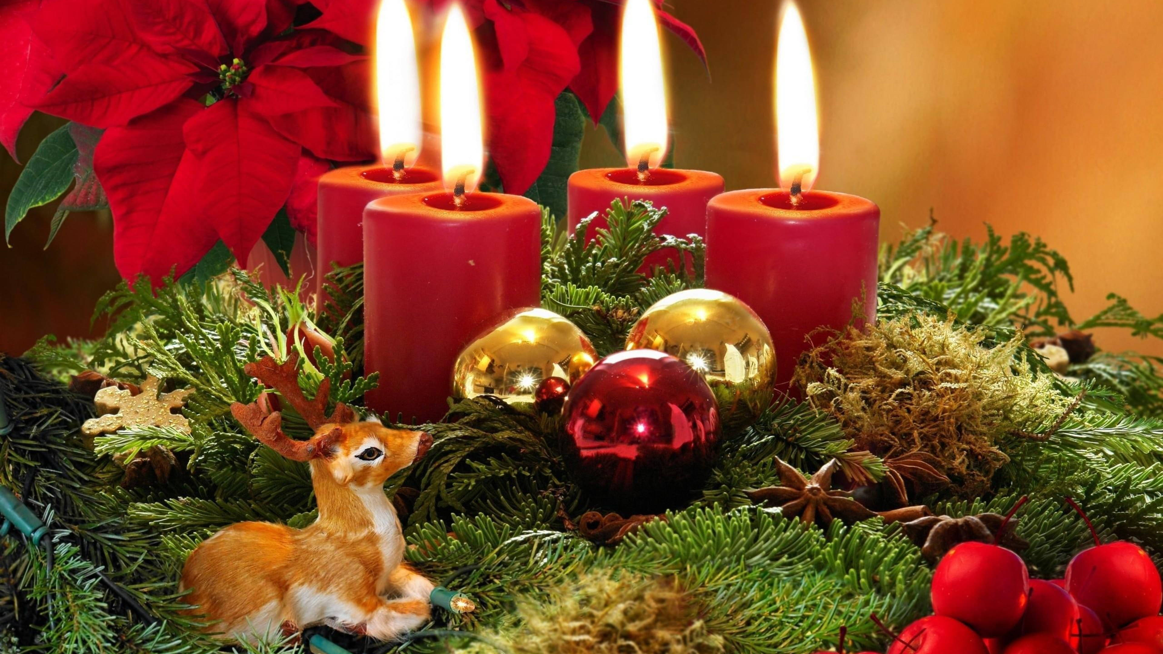 ポインセチアのクリスマス飾り 壁紙