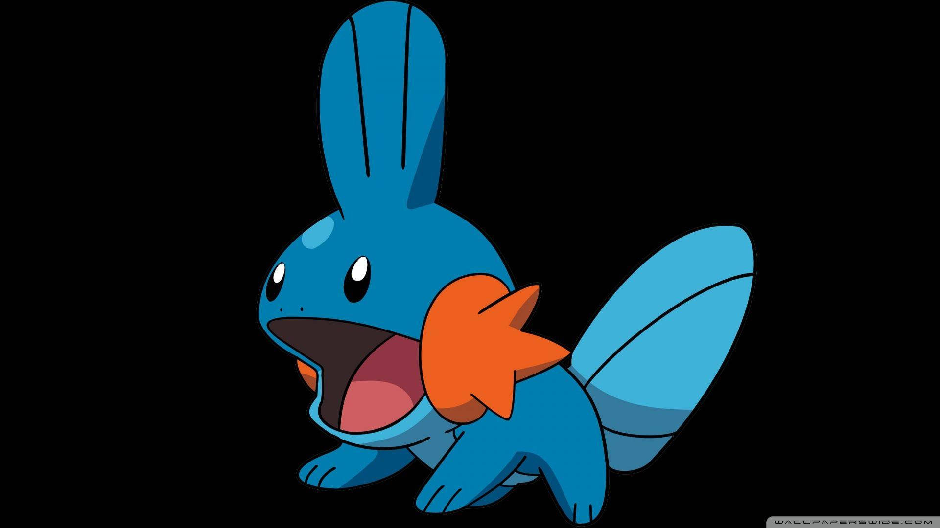 ポケモンの世界で愛らしいミズゴロウ 壁紙
