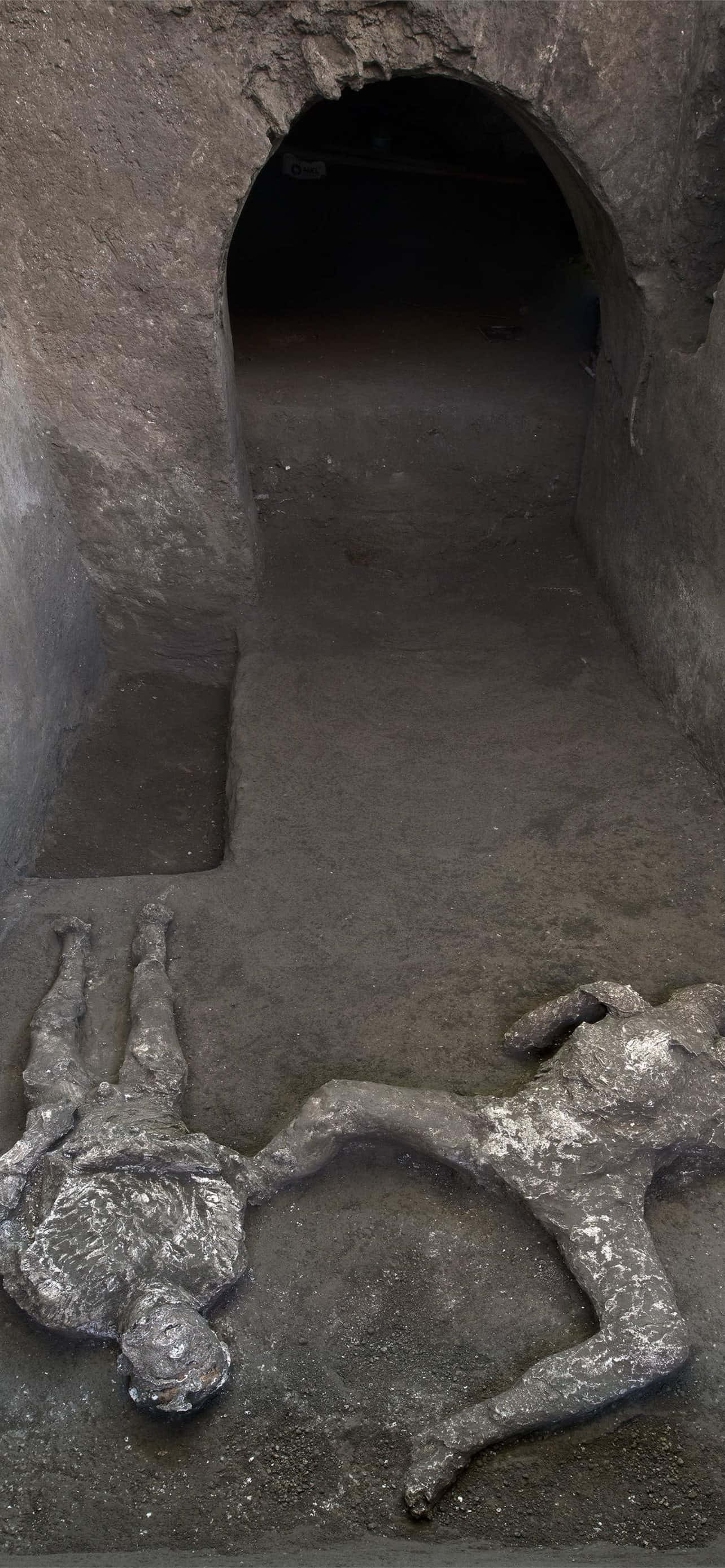 ポンペイで発掘された人間の遺体 壁紙