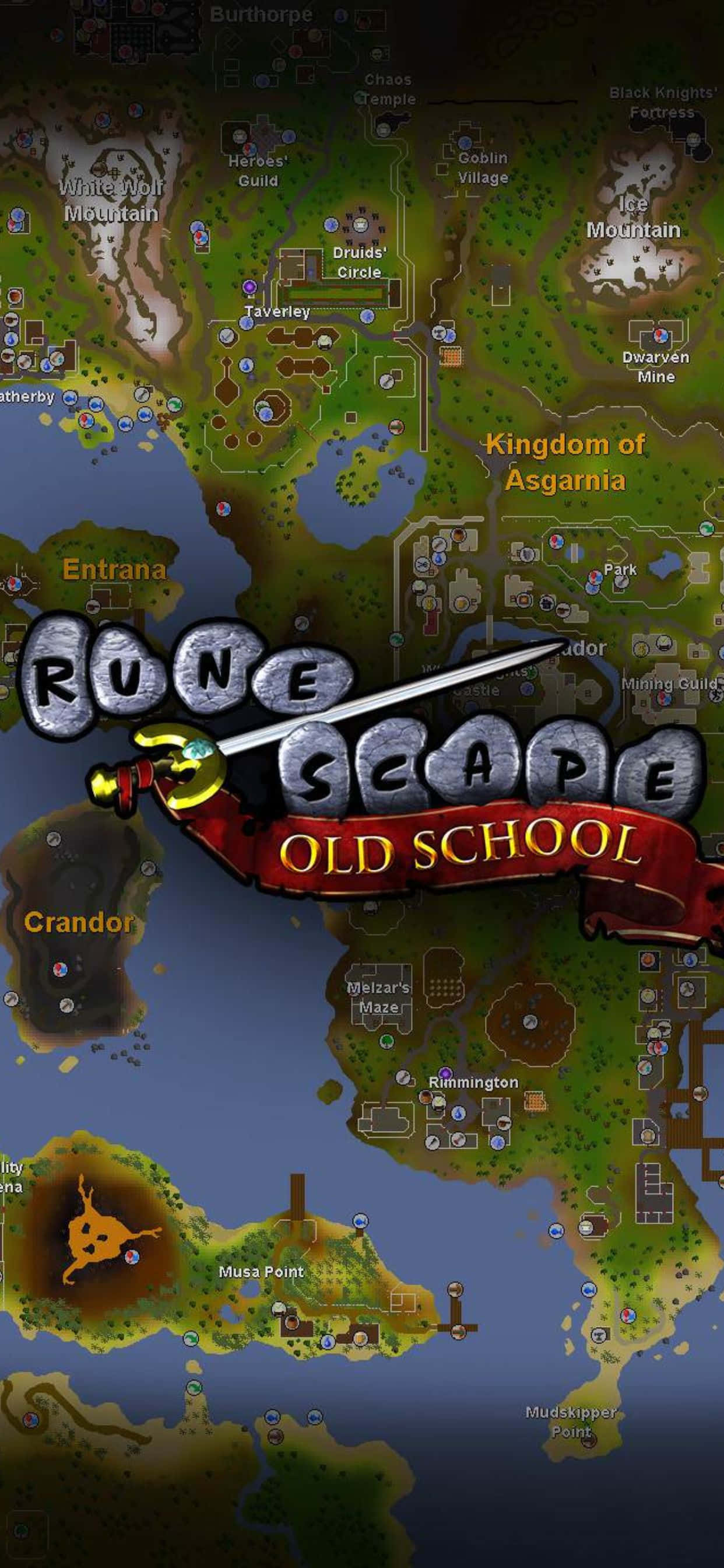 Portrait Map iPhone Xs Max Runescape Oldschool 背景 壁紙