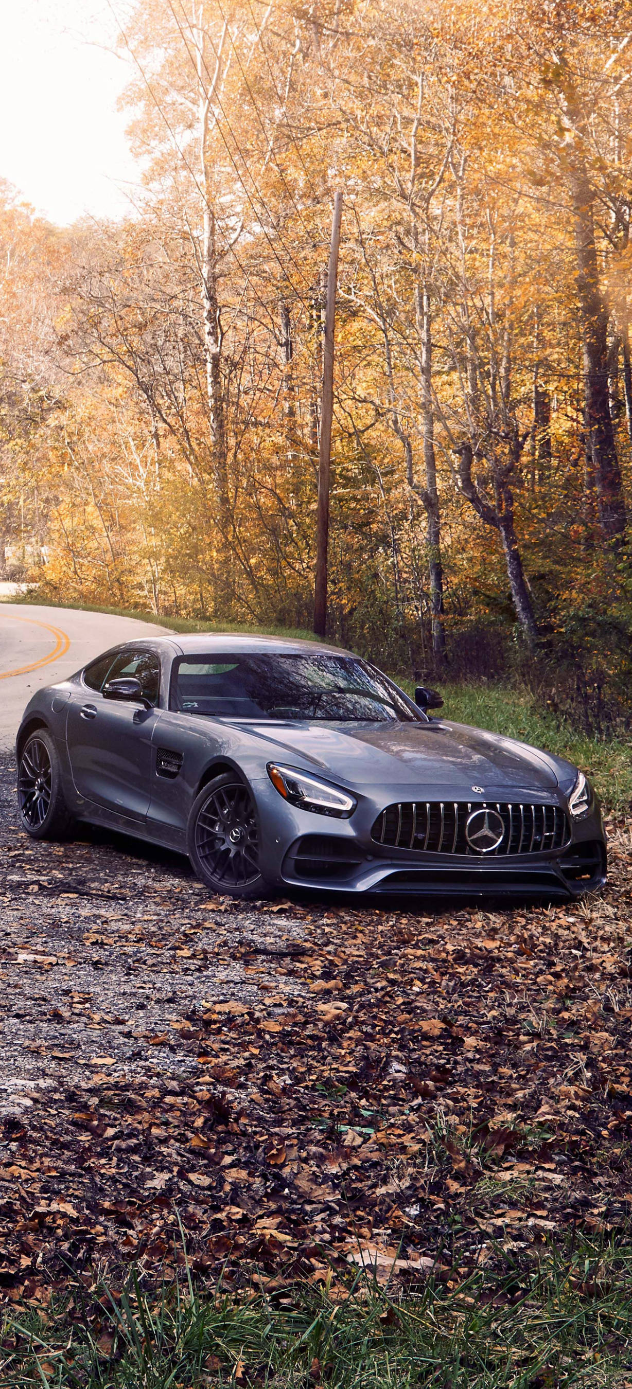 メルセデス AMG 紅葉の木々 iPhone 壁紙