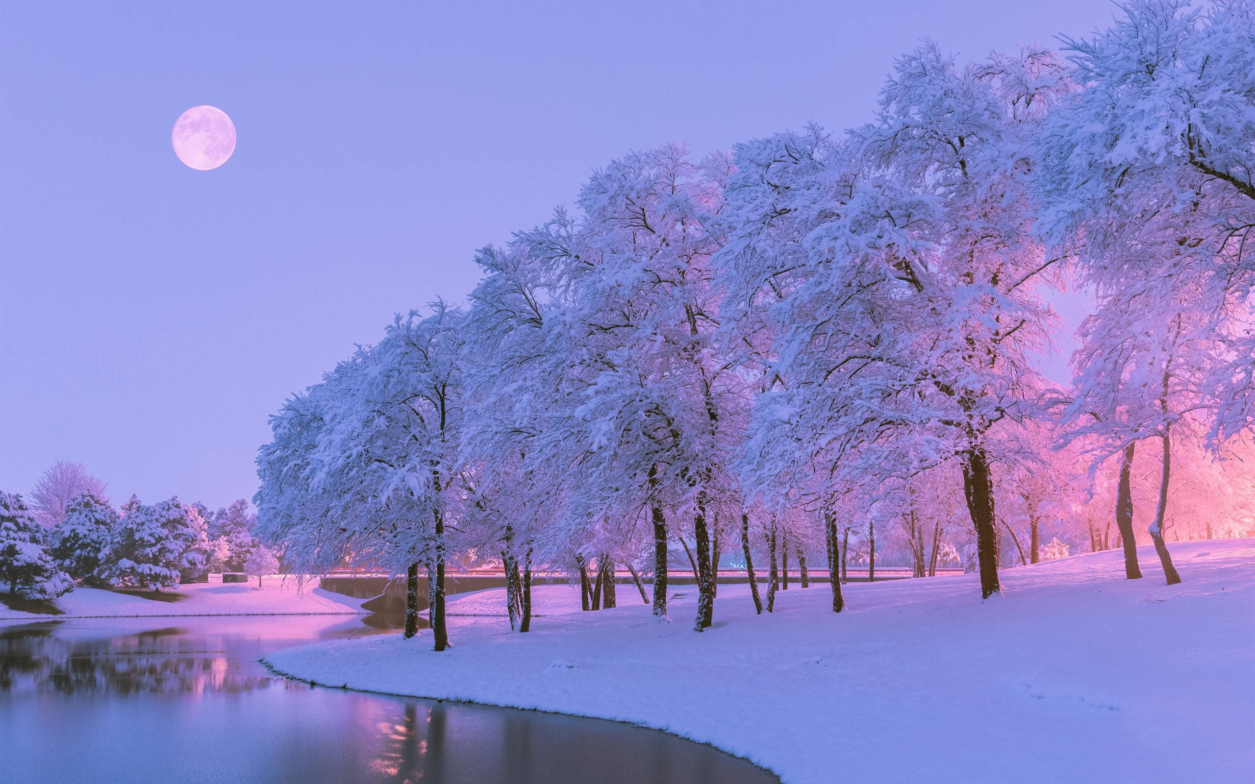 メロウな雪景色 壁紙
