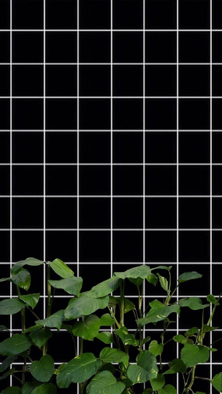 モノクロの植物グリッド美学 壁紙