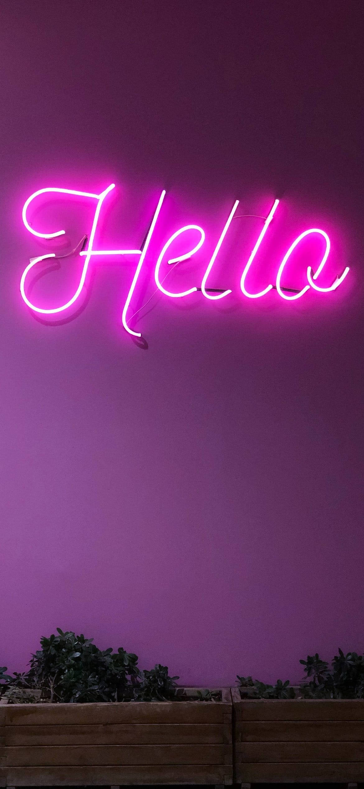 ライトパープルなネオン表現の「Hello」 壁紙