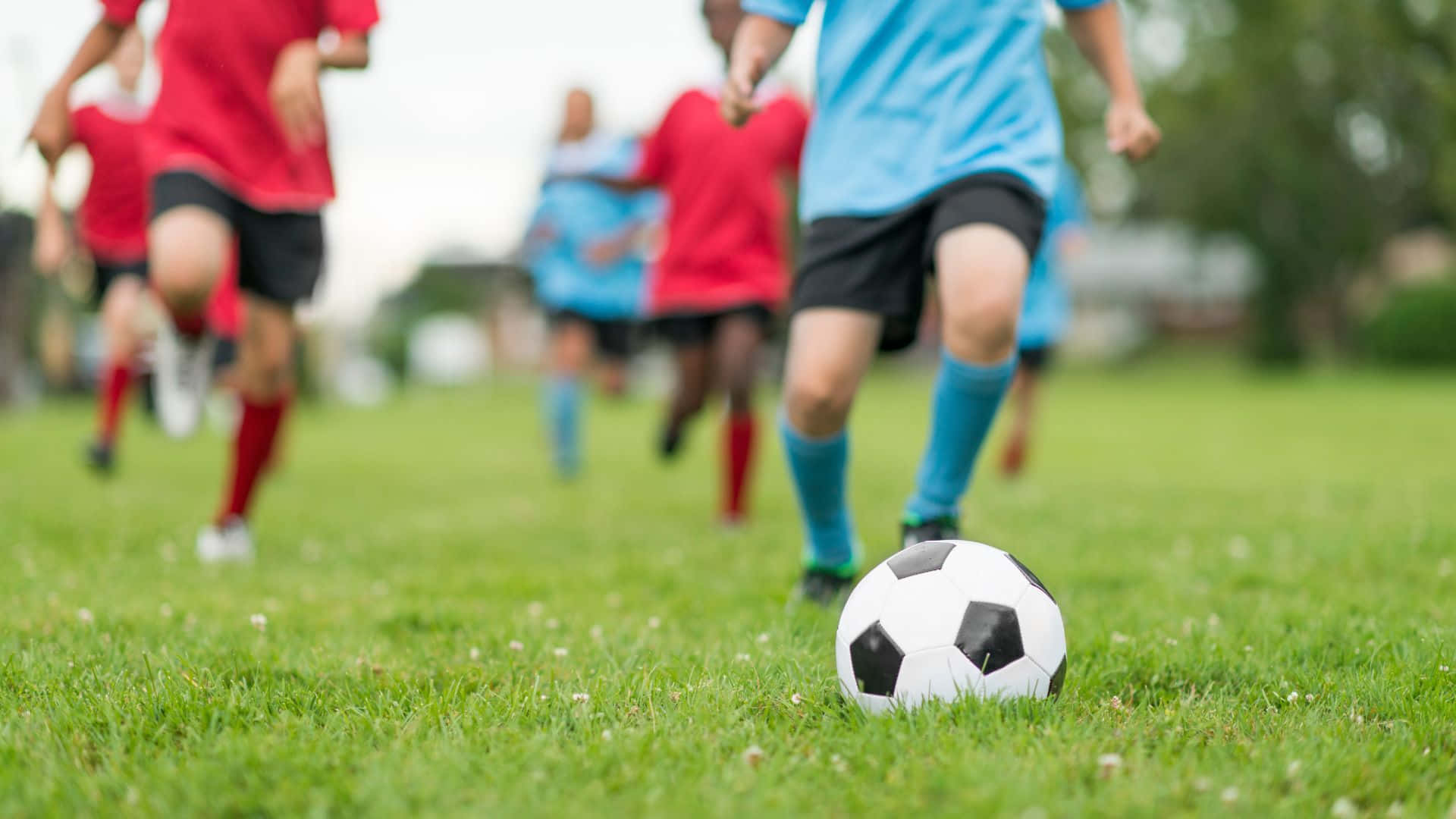 ライバルを打ち負かし、サッカーで勝利を祝う 壁紙