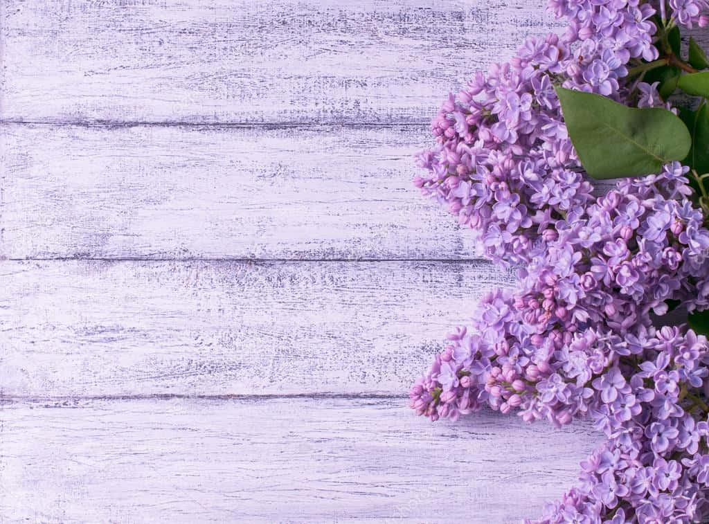ライラックの花と木の背景 壁紙