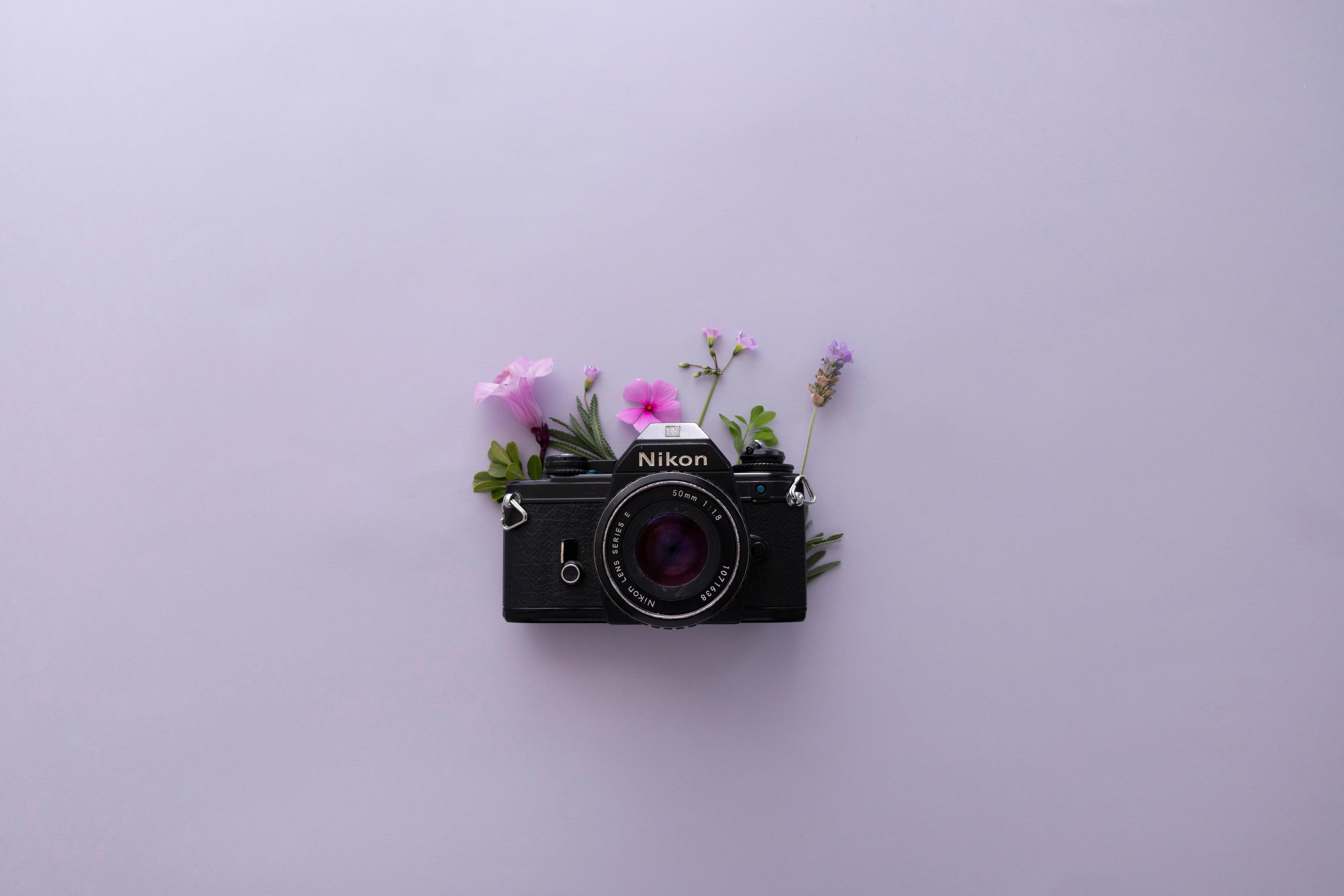 ラベンダーとNikonカメラの美的壁紙 壁紙