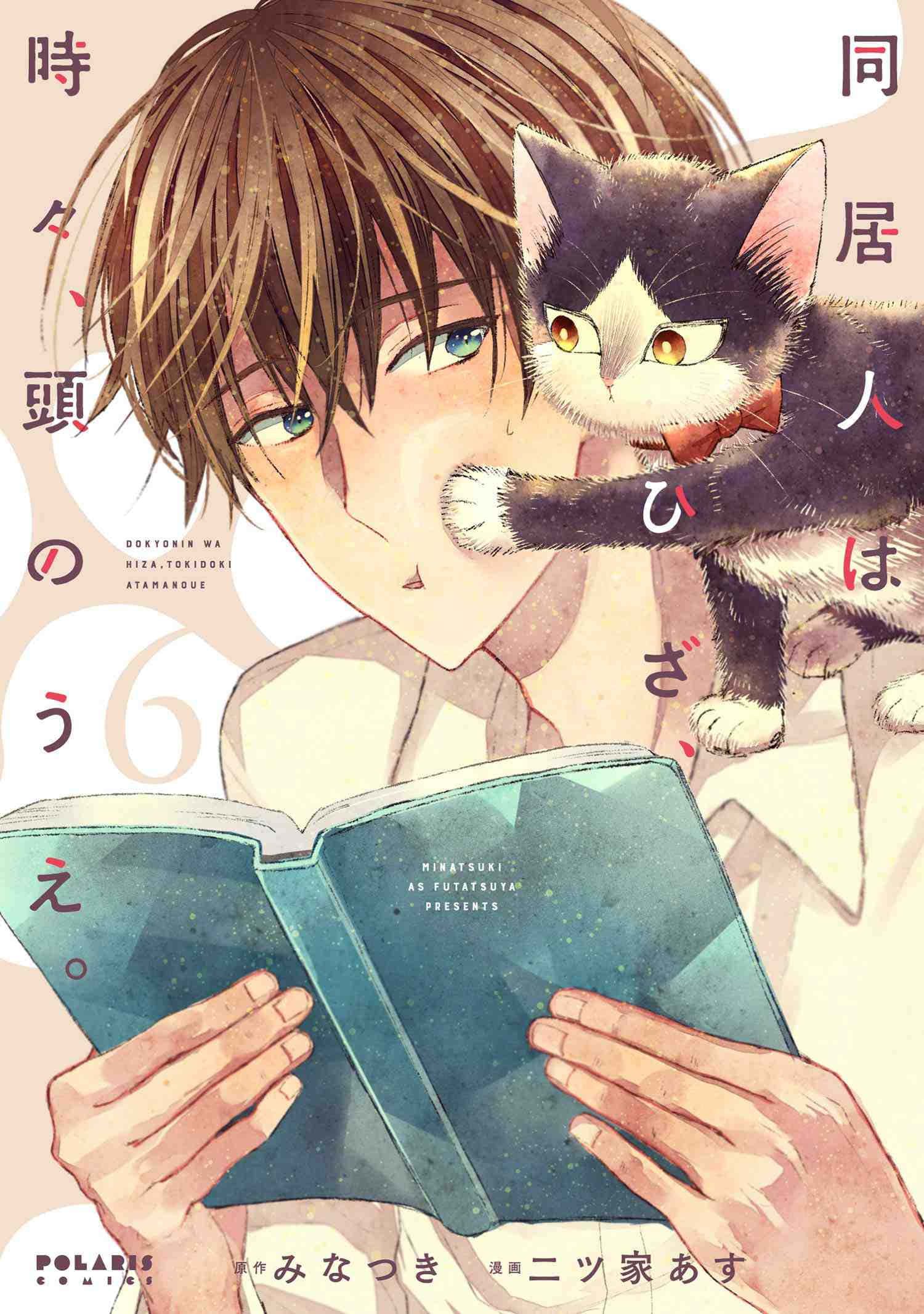 ルームメイトキャット - パティオでのんびり 壁紙