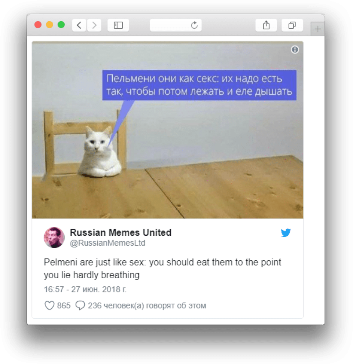 ロシアの猫ミーム ペリメニ比較 壁紙