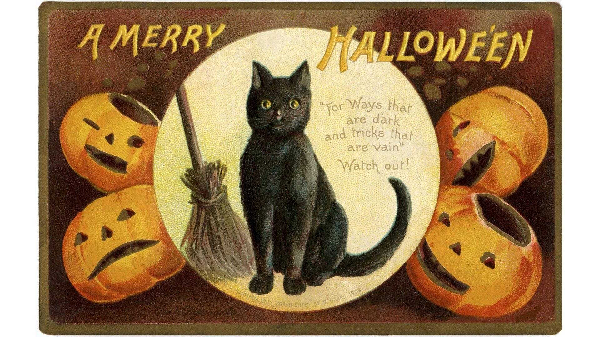 ヴィンテージハロウィンの魔女の猫 壁紙