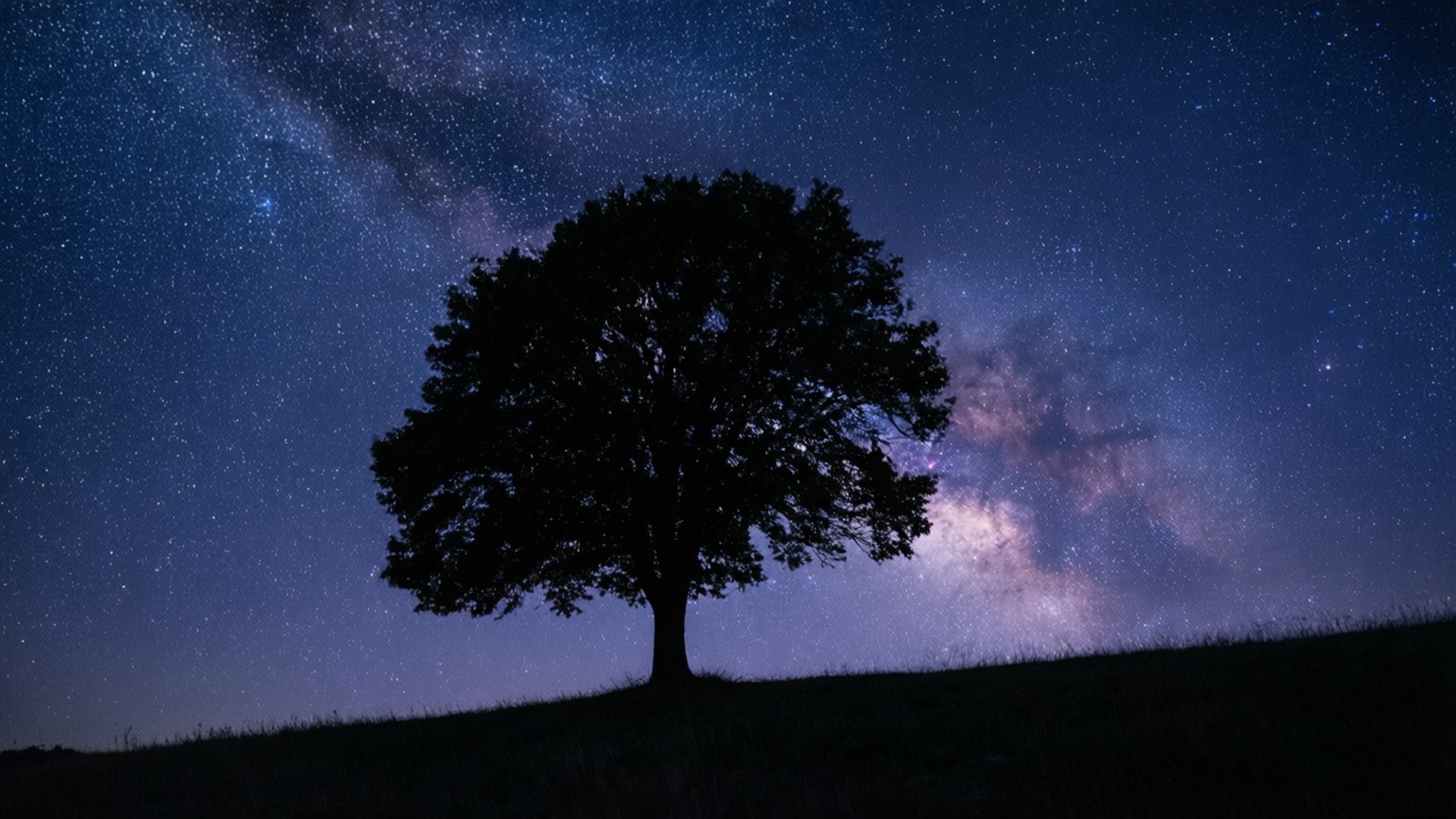 一本の木と星空の夜 壁紙