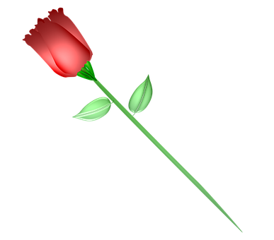 一本の赤い薔薇 黒背景 壁紙
