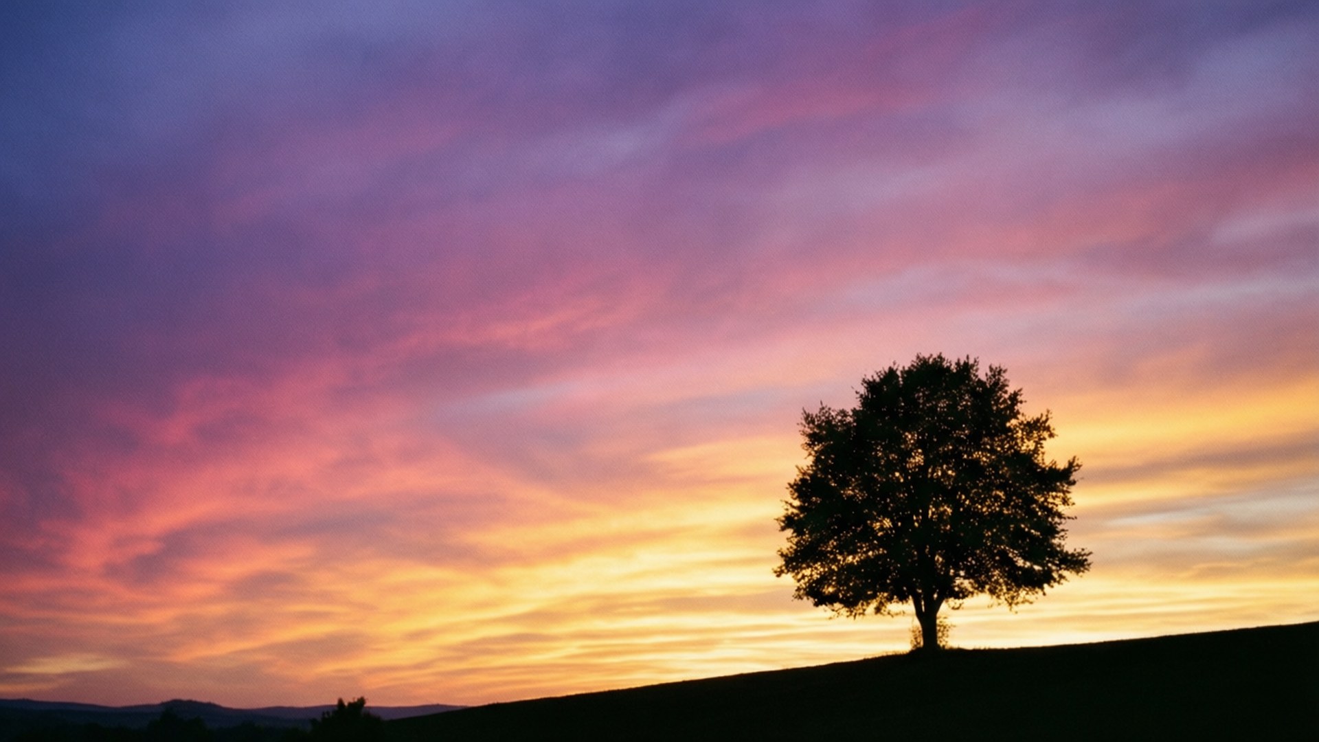 一本木の夕日 壁紙