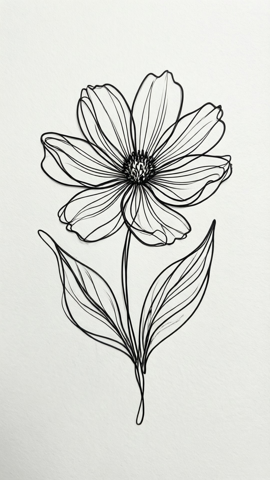 一本線の花 壁紙
