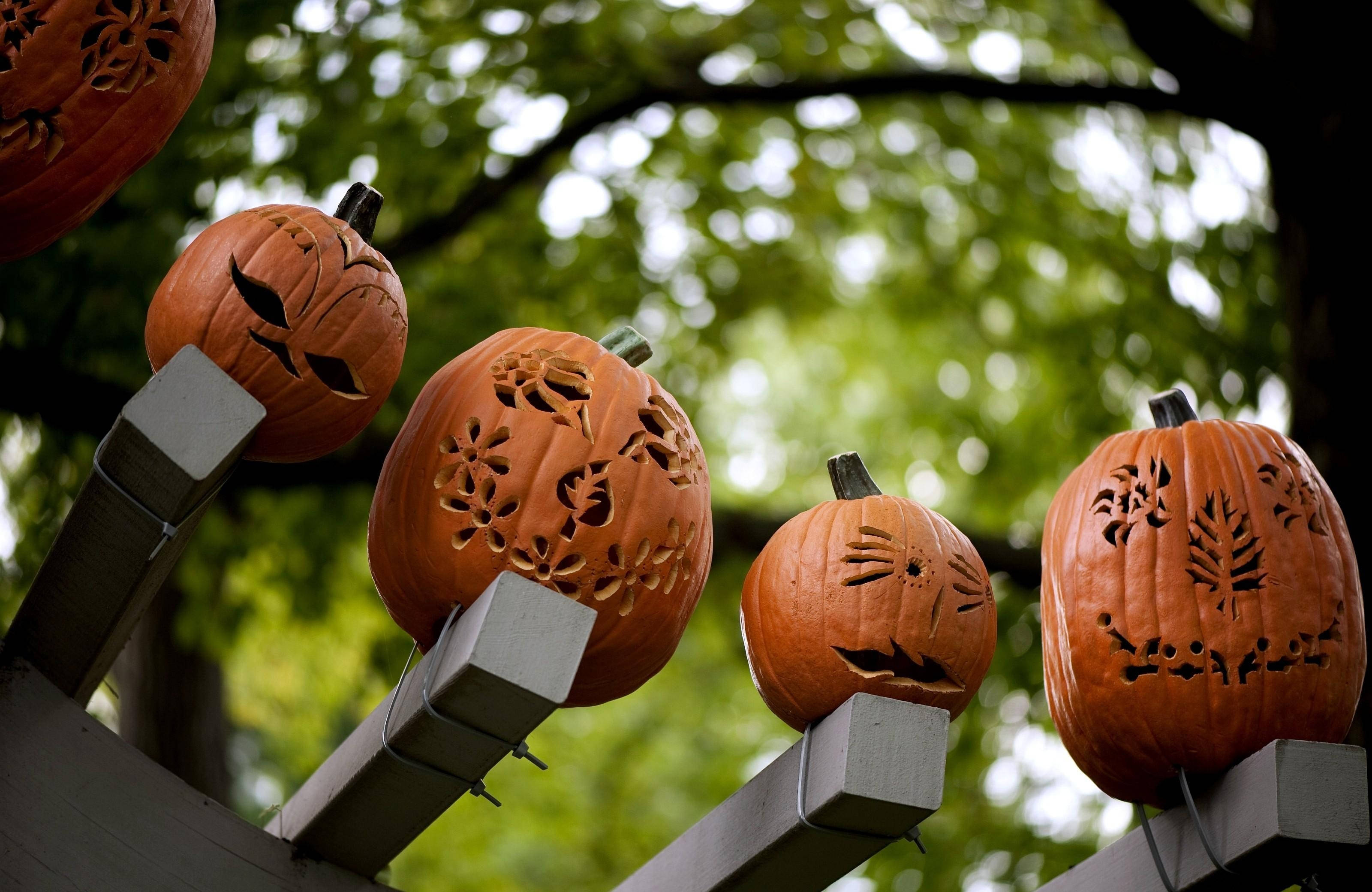 不気味なカボチャたちが、ハロウィンを恐怖で彩ります！ 壁紙