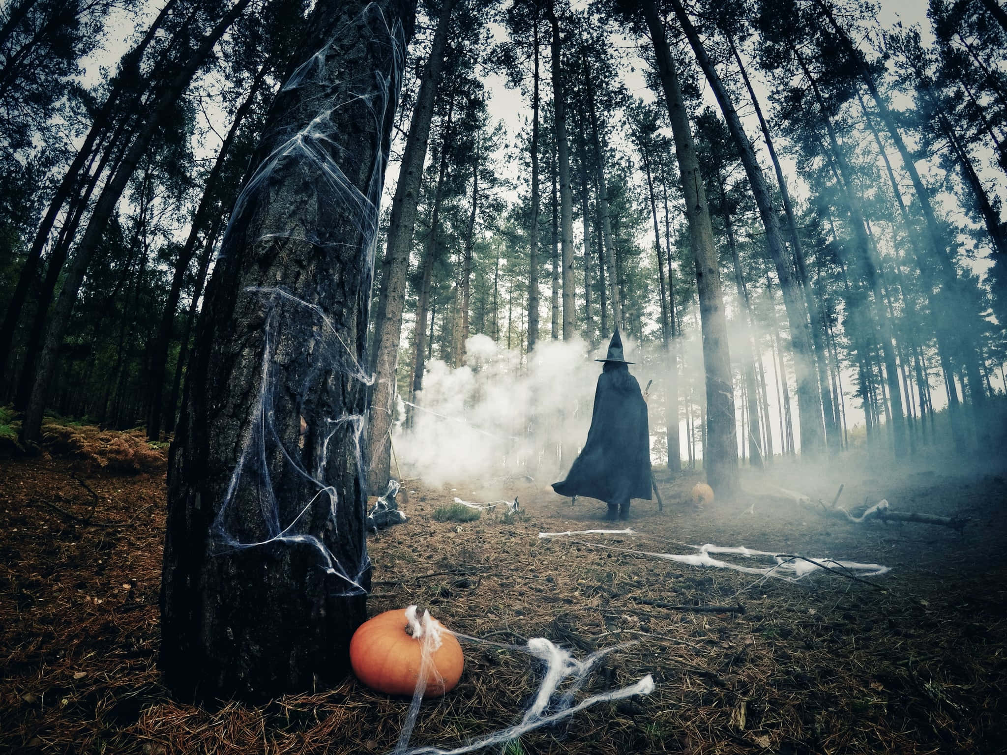 不気味なハロウィンの背景 壁紙