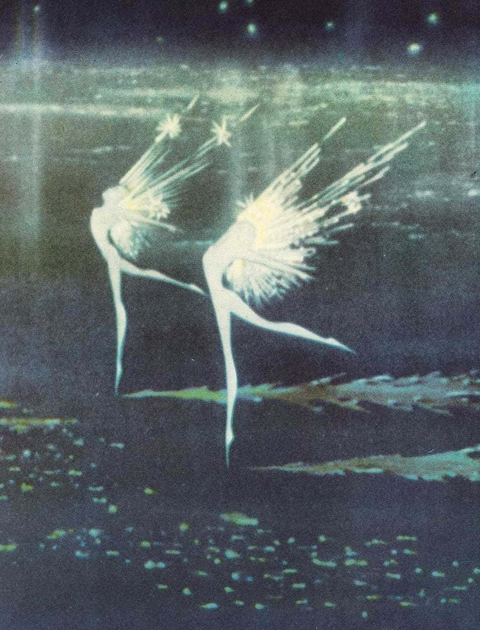 二枚の妖精の羽が空中を舞う絵画 壁紙