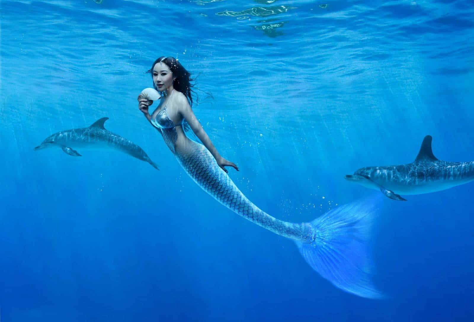 人魚と二匹のイルカ 壁紙