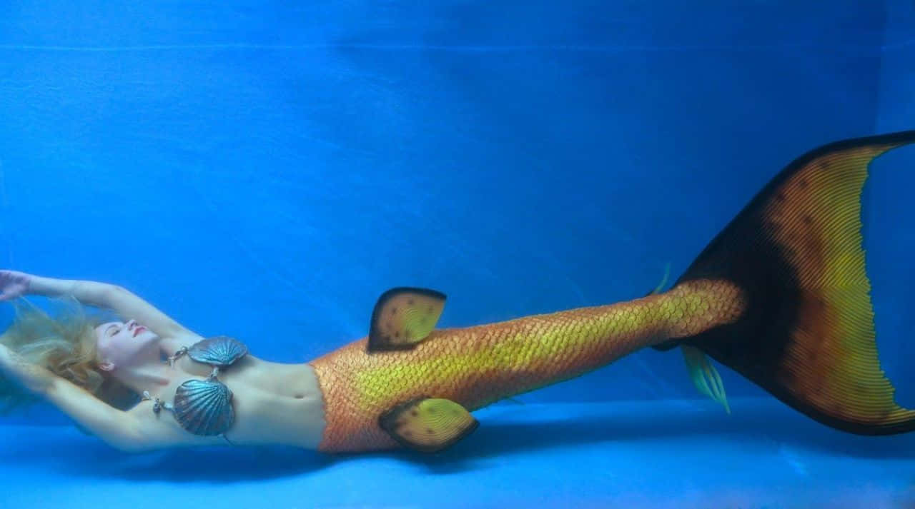 人魚のリアルな黄色い尾の写真 壁紙