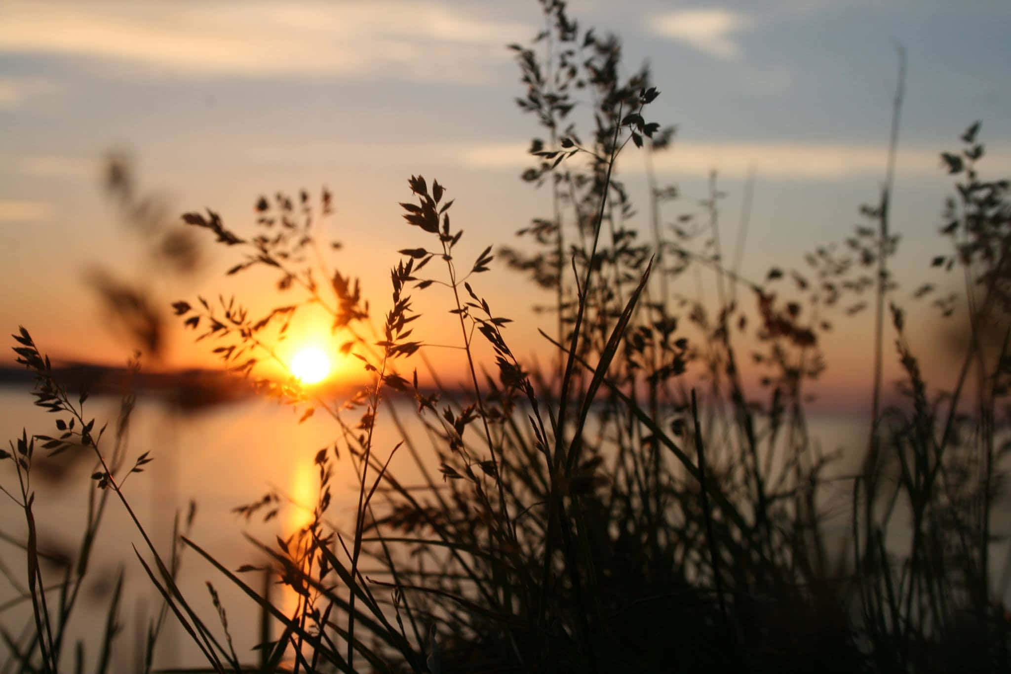 「今を生きる：美しい夕日」 壁紙