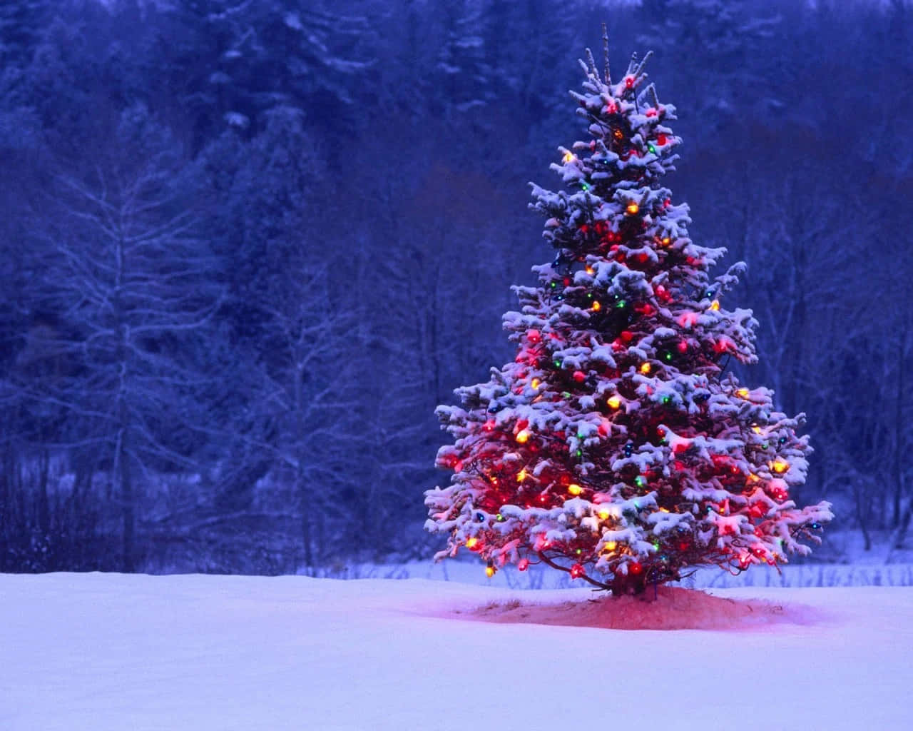 今年最高の冬の休日を、華やかなクリスマスデスクトップでお楽しみください。 壁紙