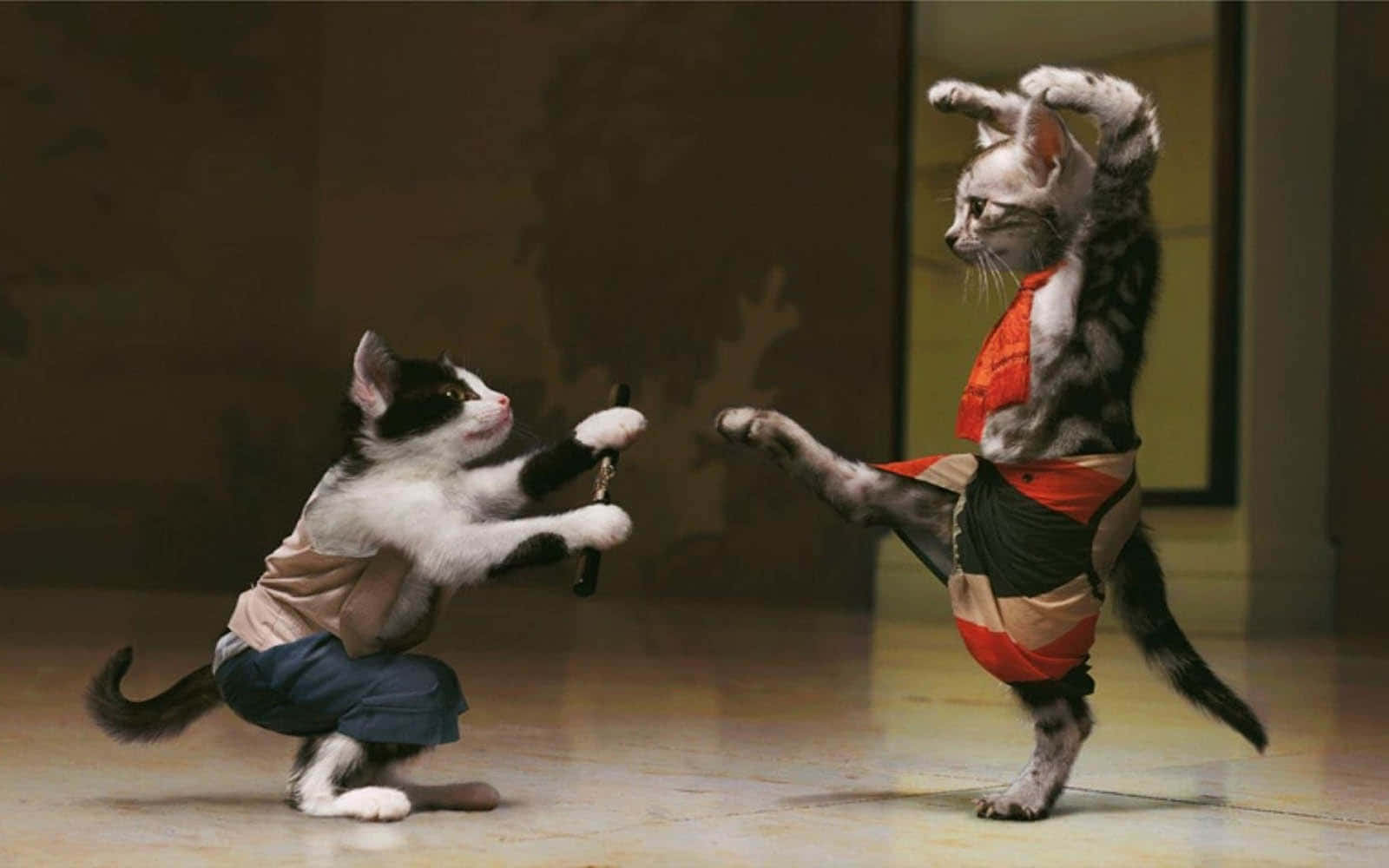 仮装した猫たちのダンス 壁紙