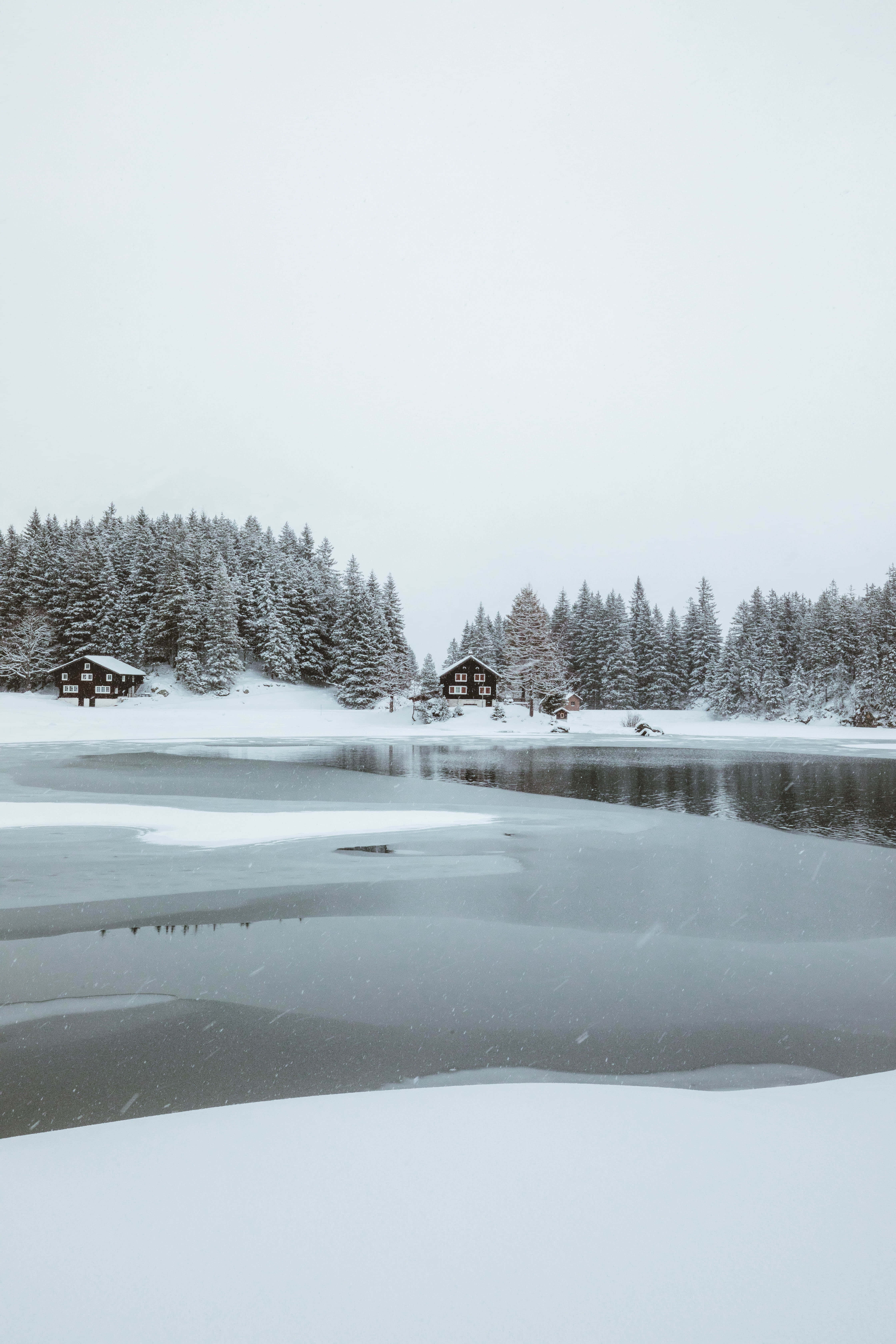 冬のワンダーランド 雪の湖の写真 壁紙
