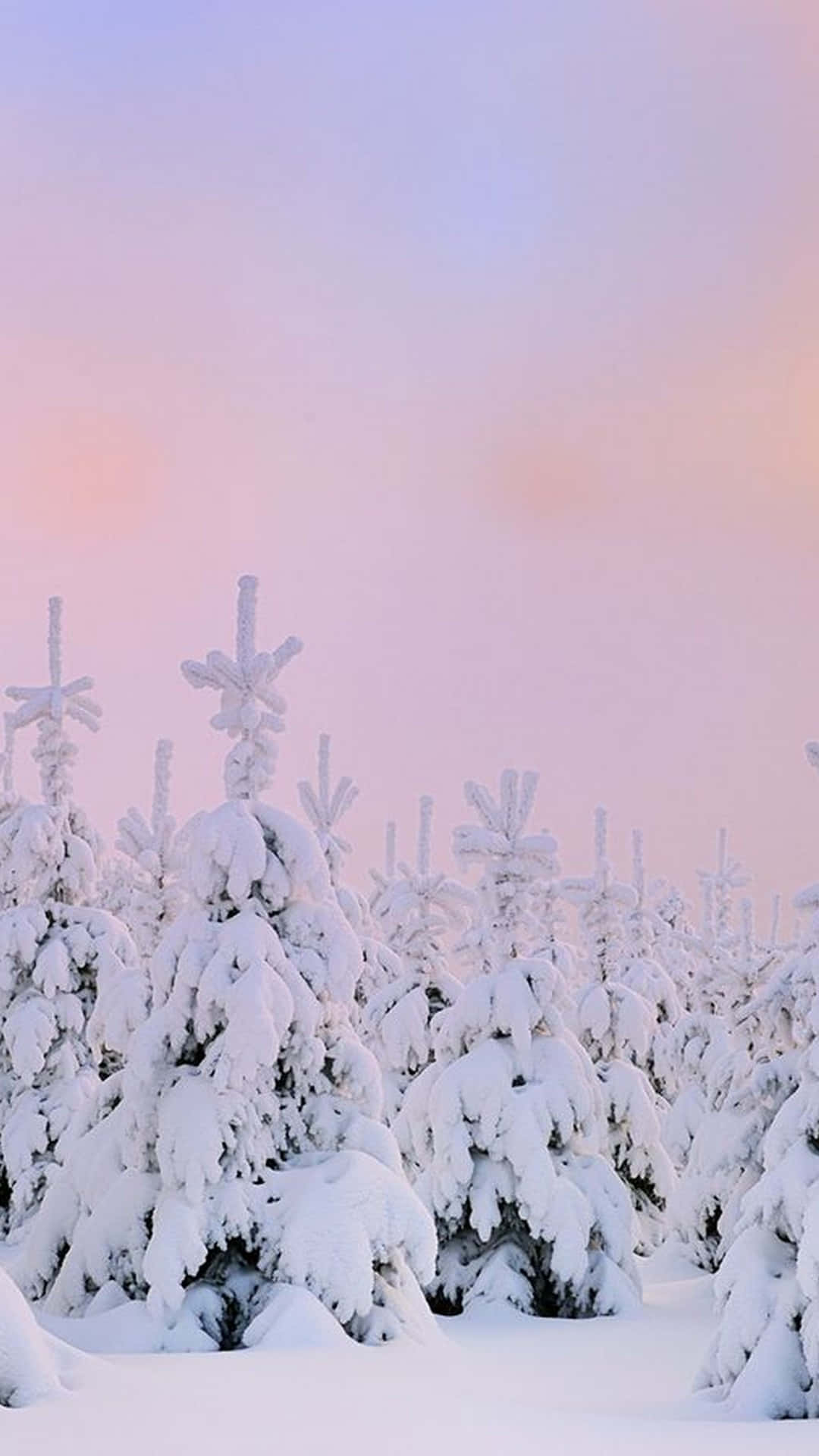 冬の美しさを楽しむ、雪に覆われた山々の静かな眺め 壁紙