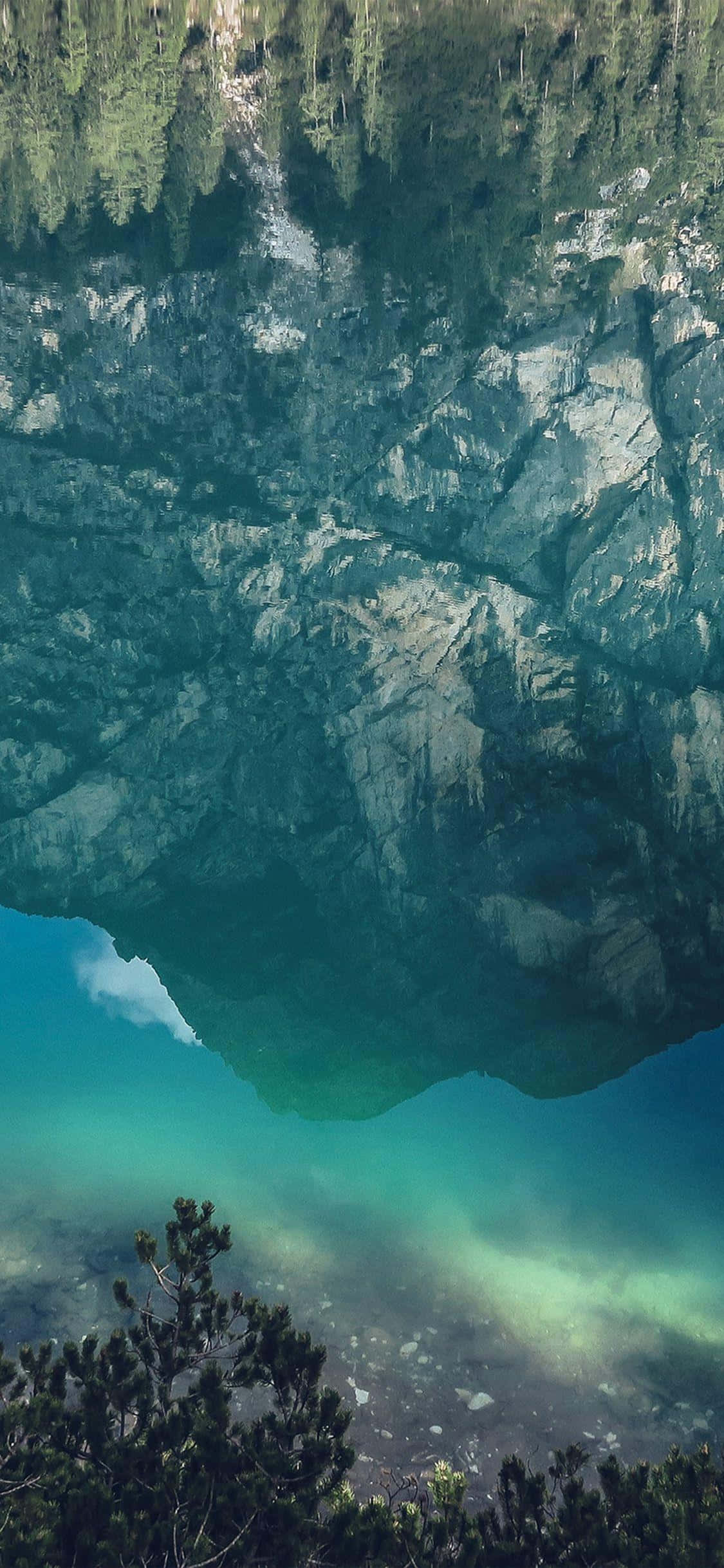 原生の森にある美しい滝：iPhone X自然背景 壁紙