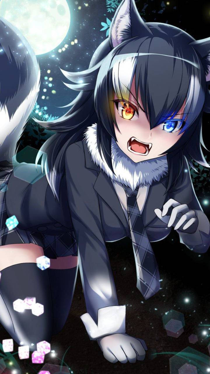 可愛いアニメの狼少女のプロフィール画像 壁紙