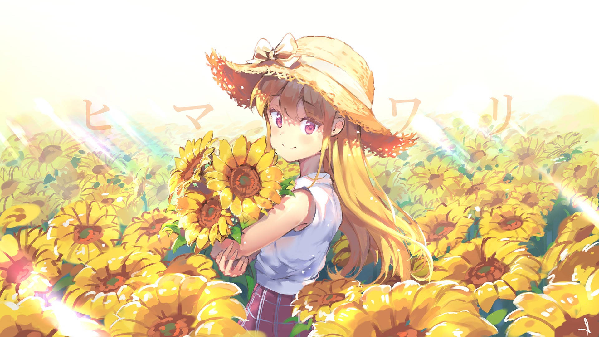 可愛いアニメ少女のひまわり畑 壁紙