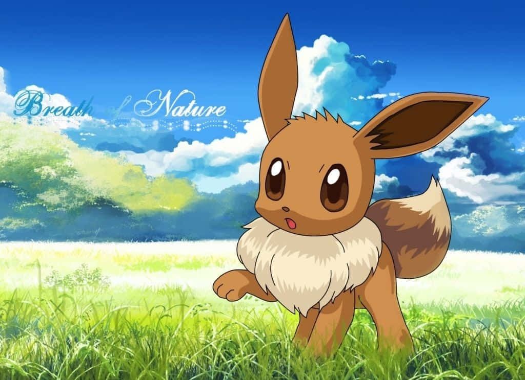 可愛いイーブイ 草原のポケモン 壁紙