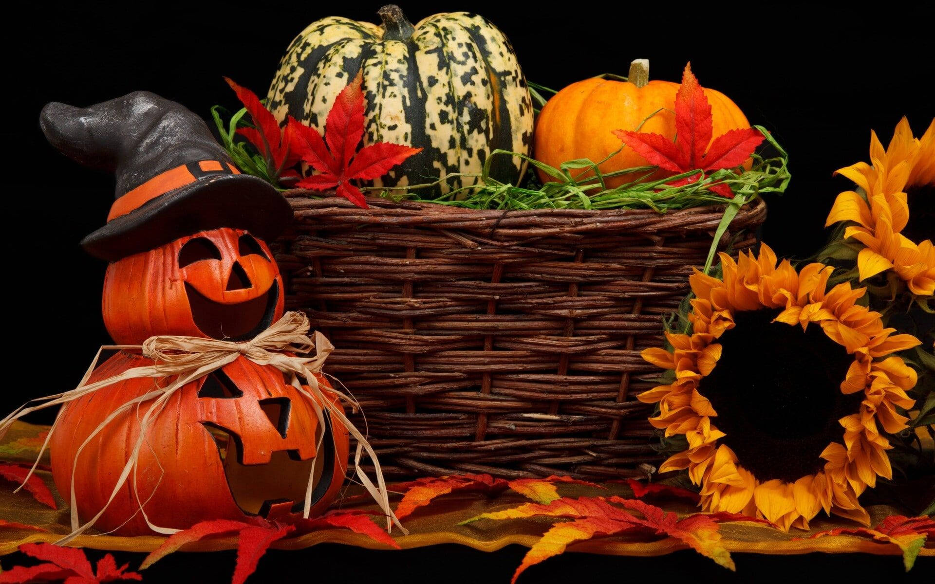 可愛いハロウィンのかぼちゃと花の美学 壁紙