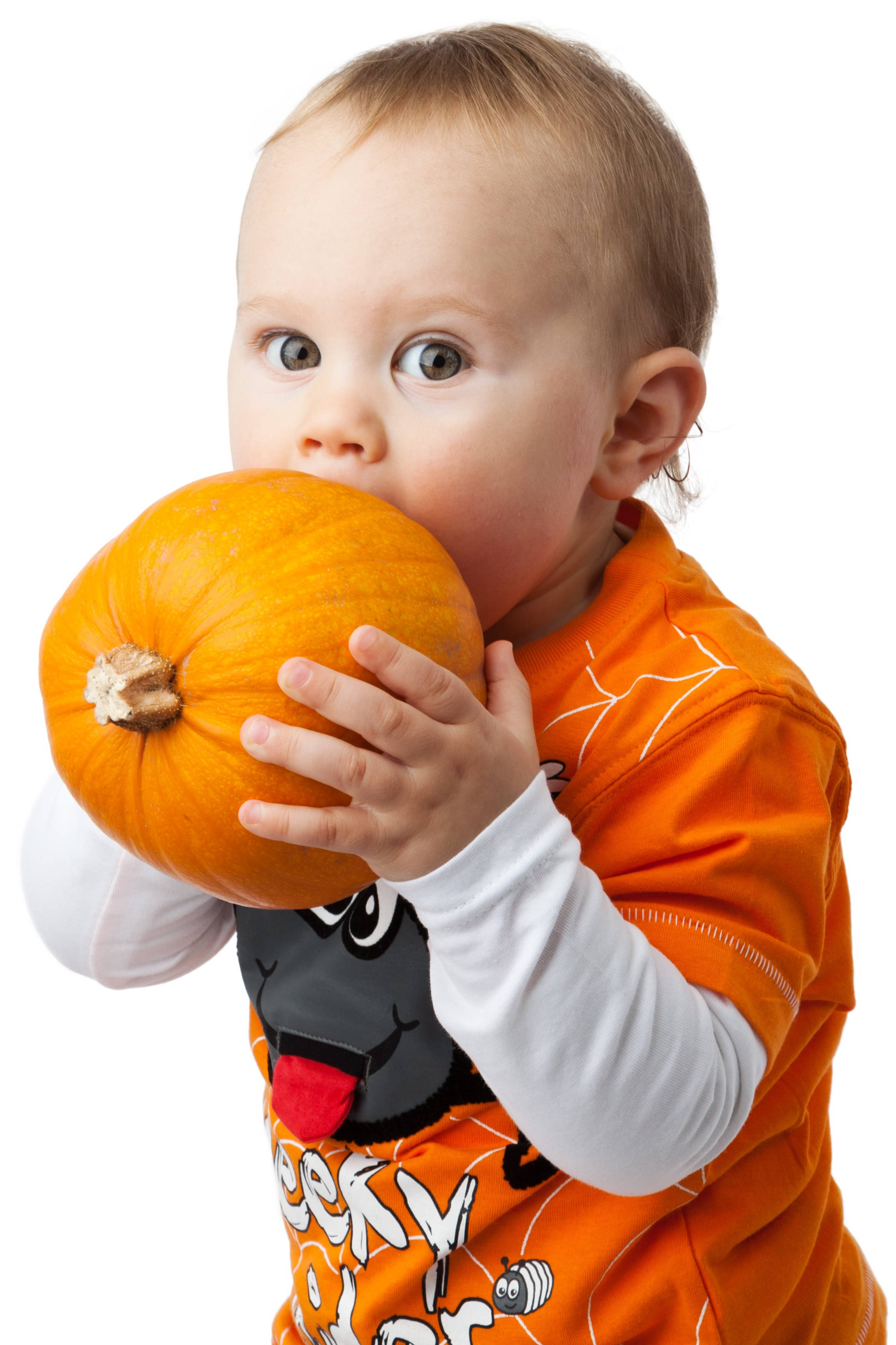 可愛いハロウィンの男の子とカボチャ 壁紙
