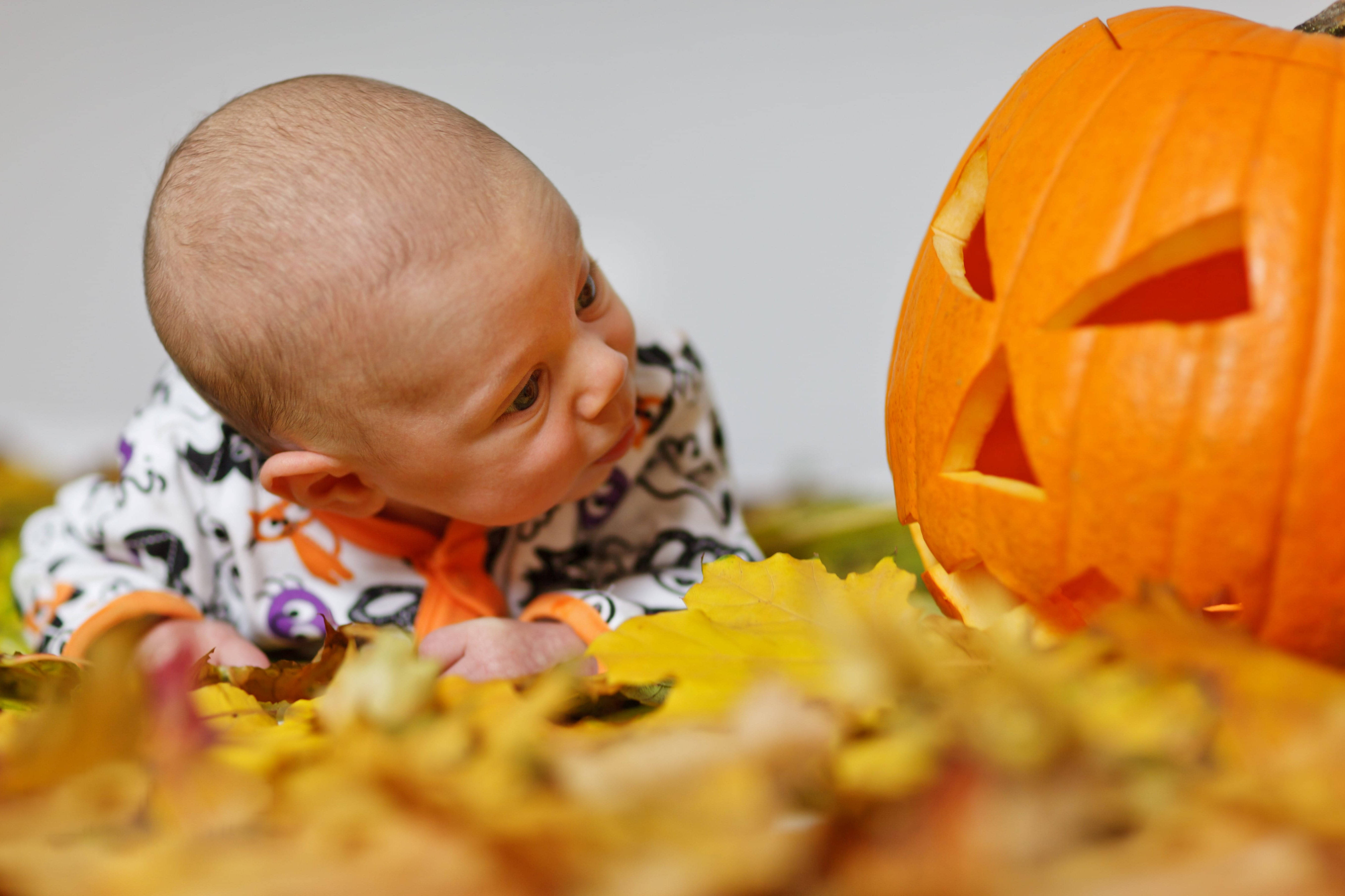 可愛いハロウィンの赤ちゃんとパンプキンの視線 壁紙