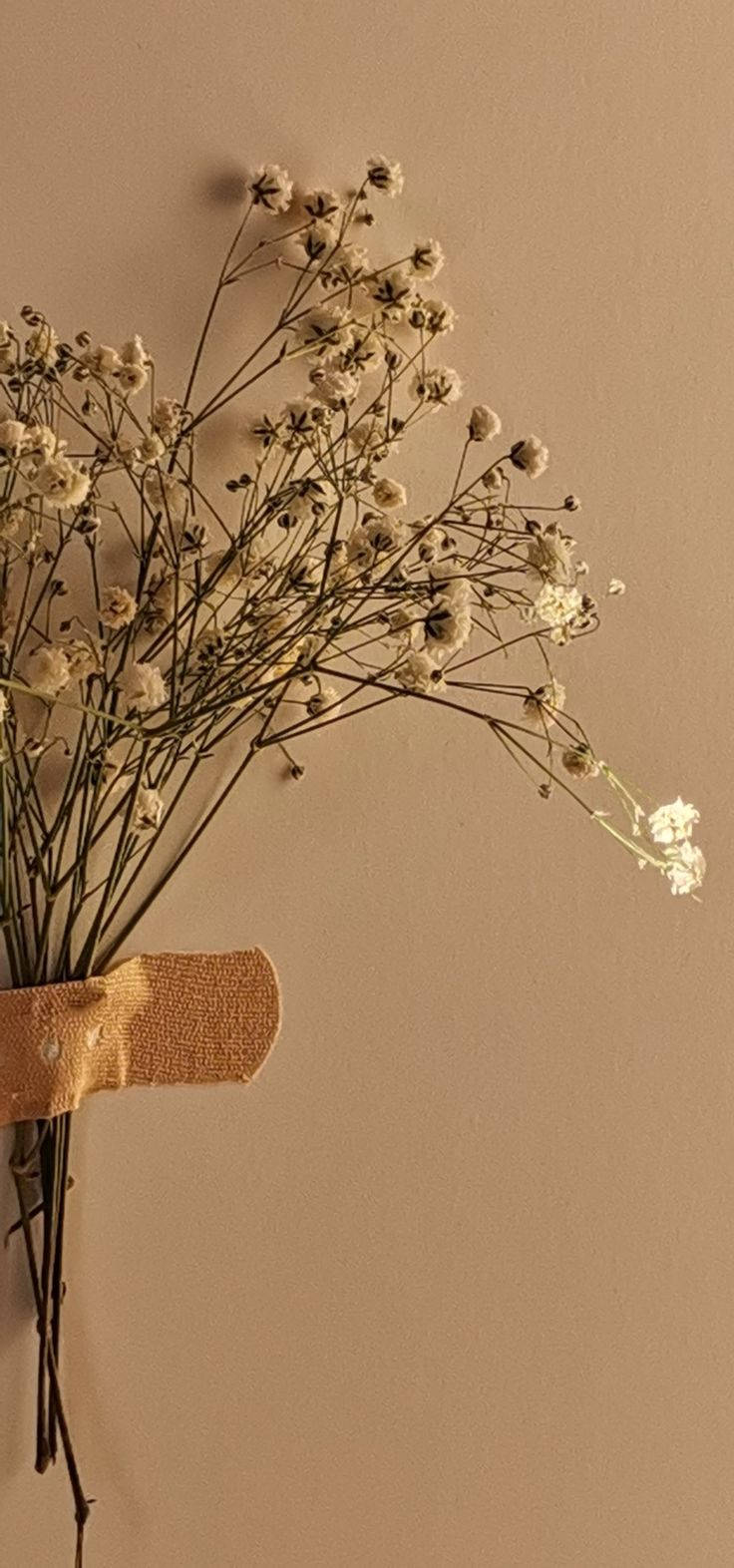 可憐な花のベージュエステティック 壁紙