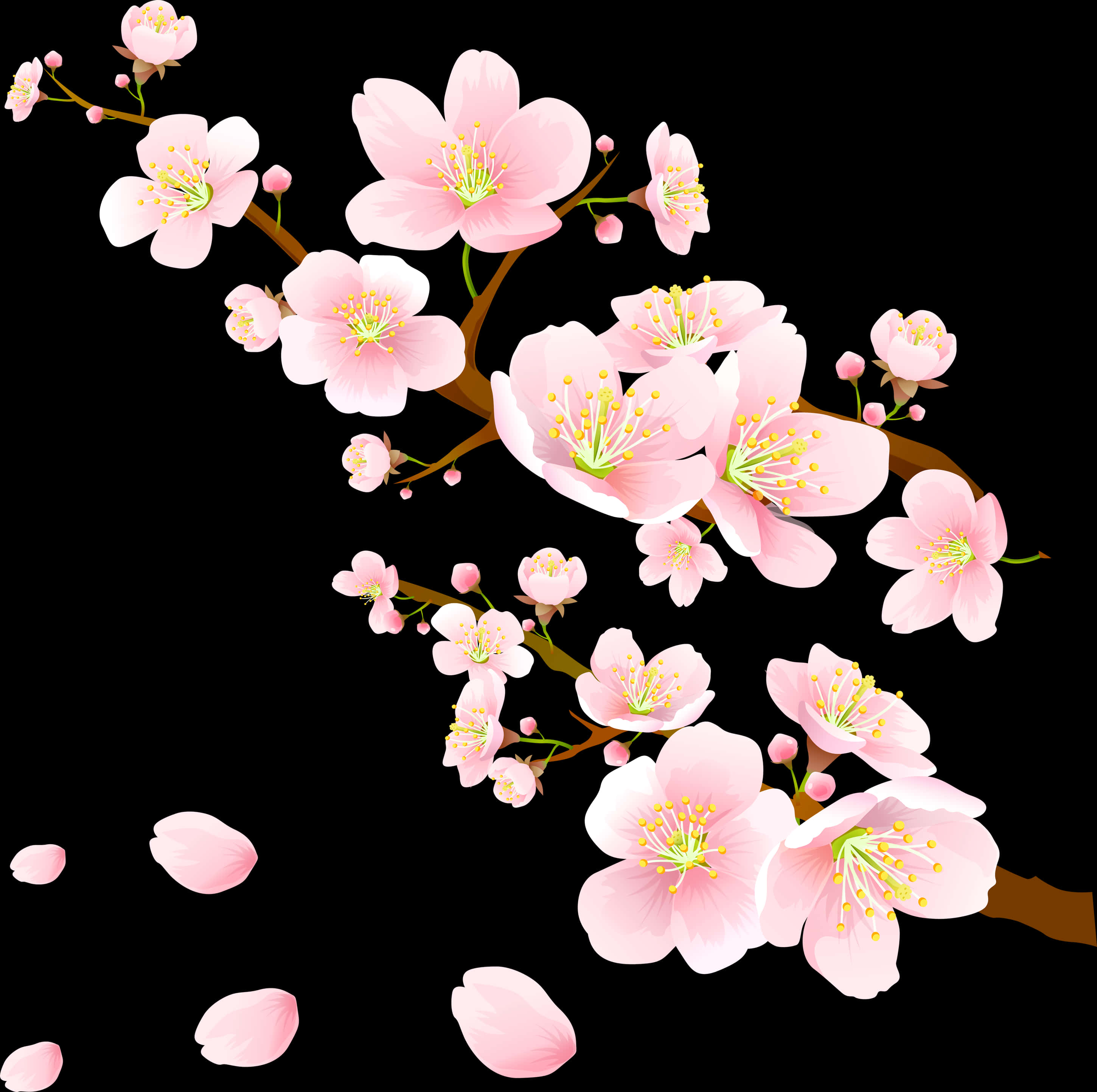 咲き誇るピンクの桜 壁紙