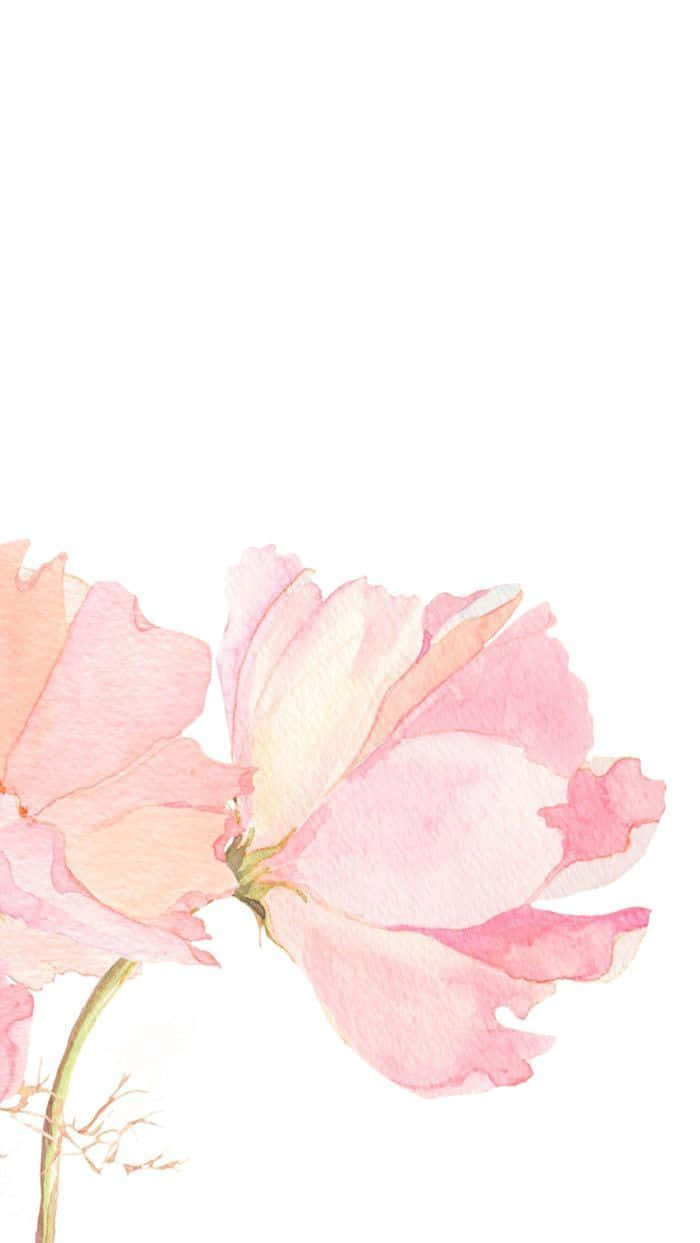 咲き誇るピンクの花々の美しさを堪能 壁紙