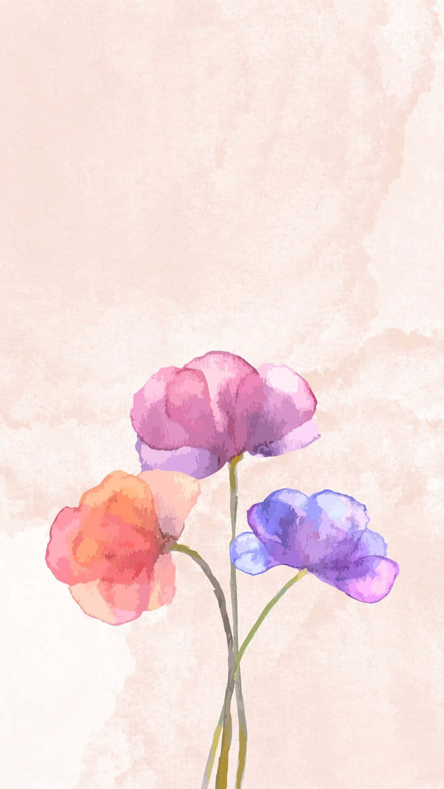 咲き誇る花々のモバイル背景 壁紙