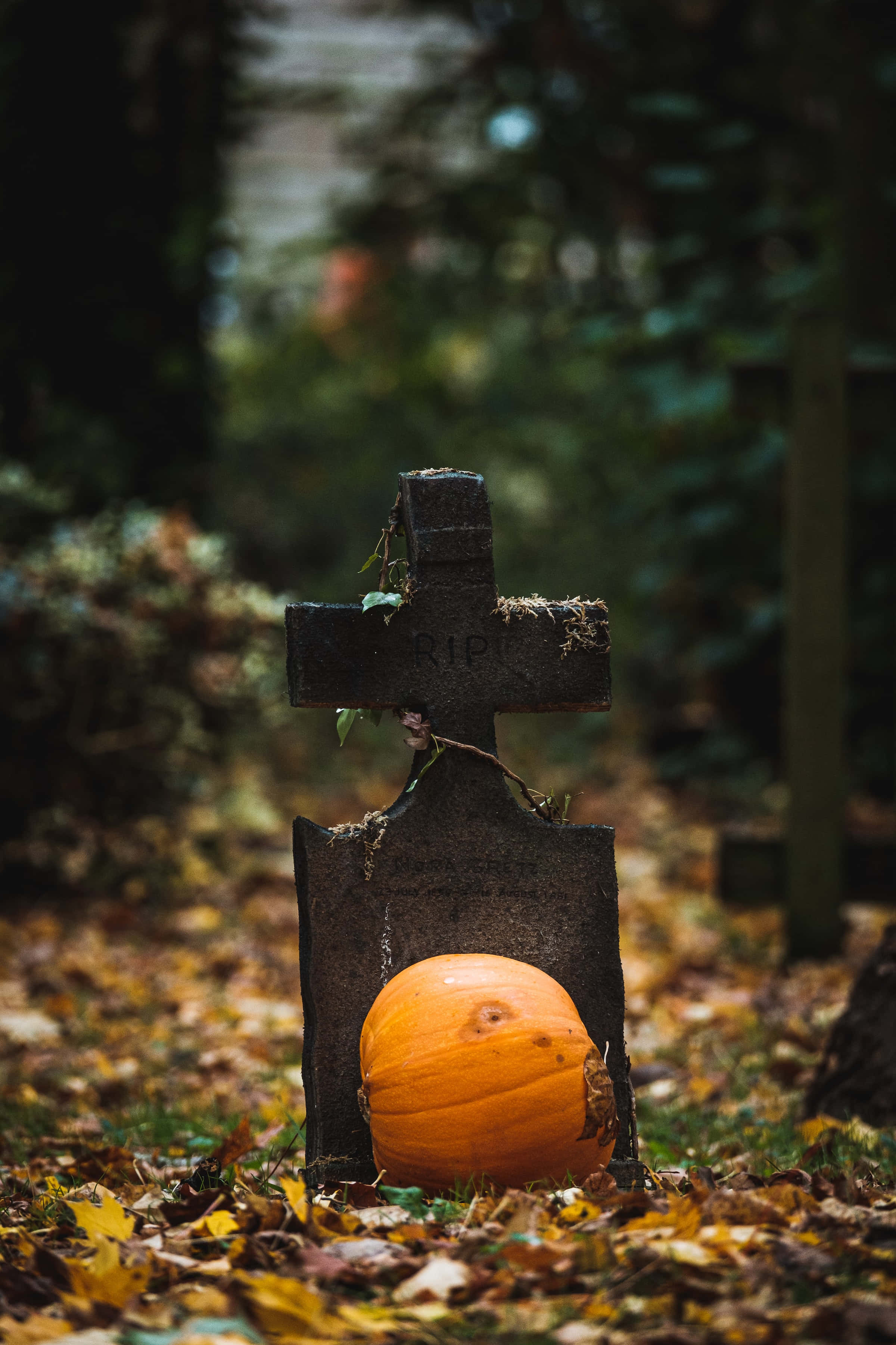 墓地の高解像度ハロウィン背景 壁紙