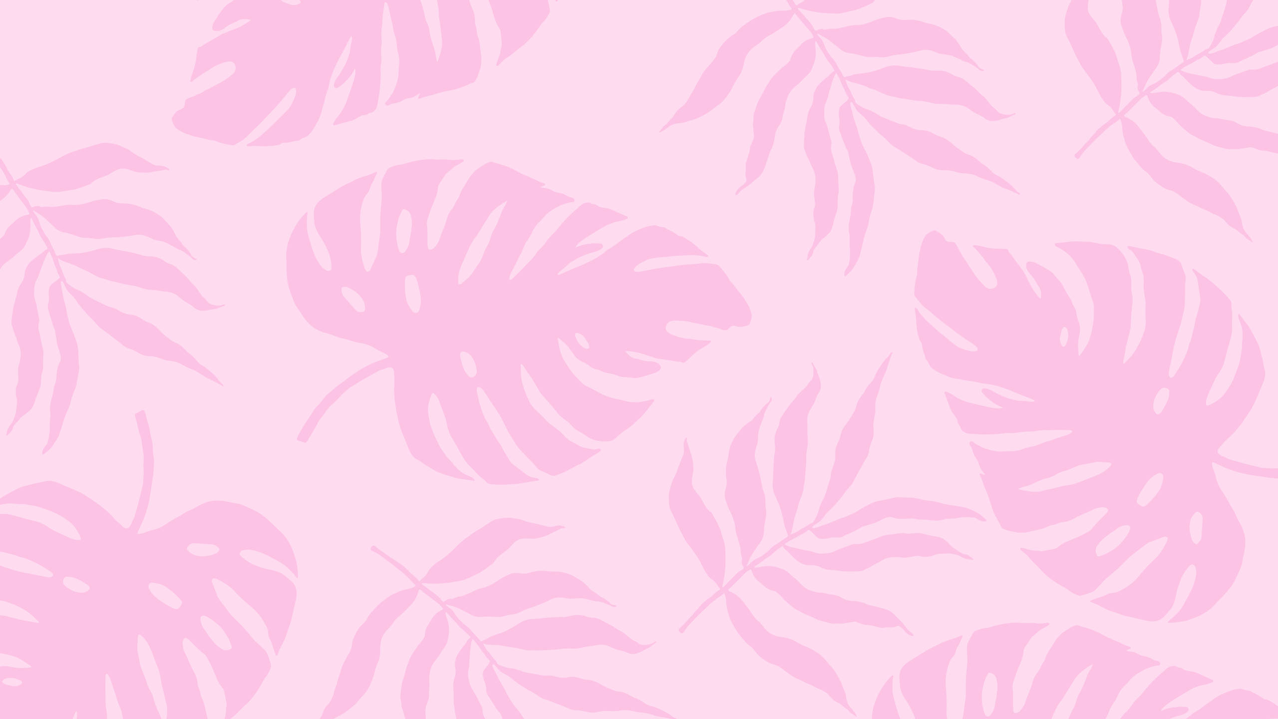 夏の植物ピンクの美学 2560x1440 壁紙