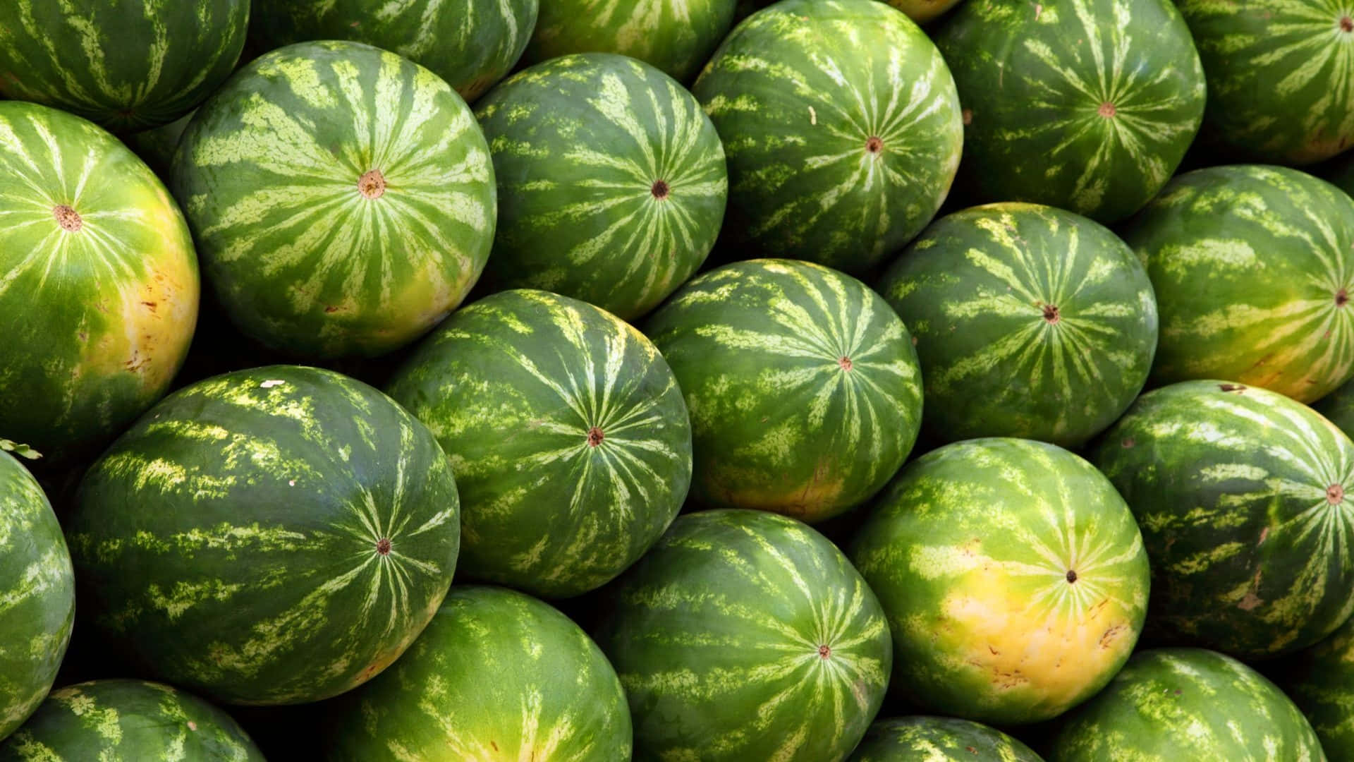 夏の爽やかなひと切れ 壁紙