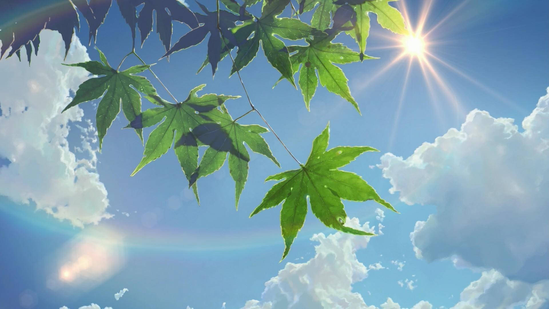 夏の美しさ 太陽と空 壁紙