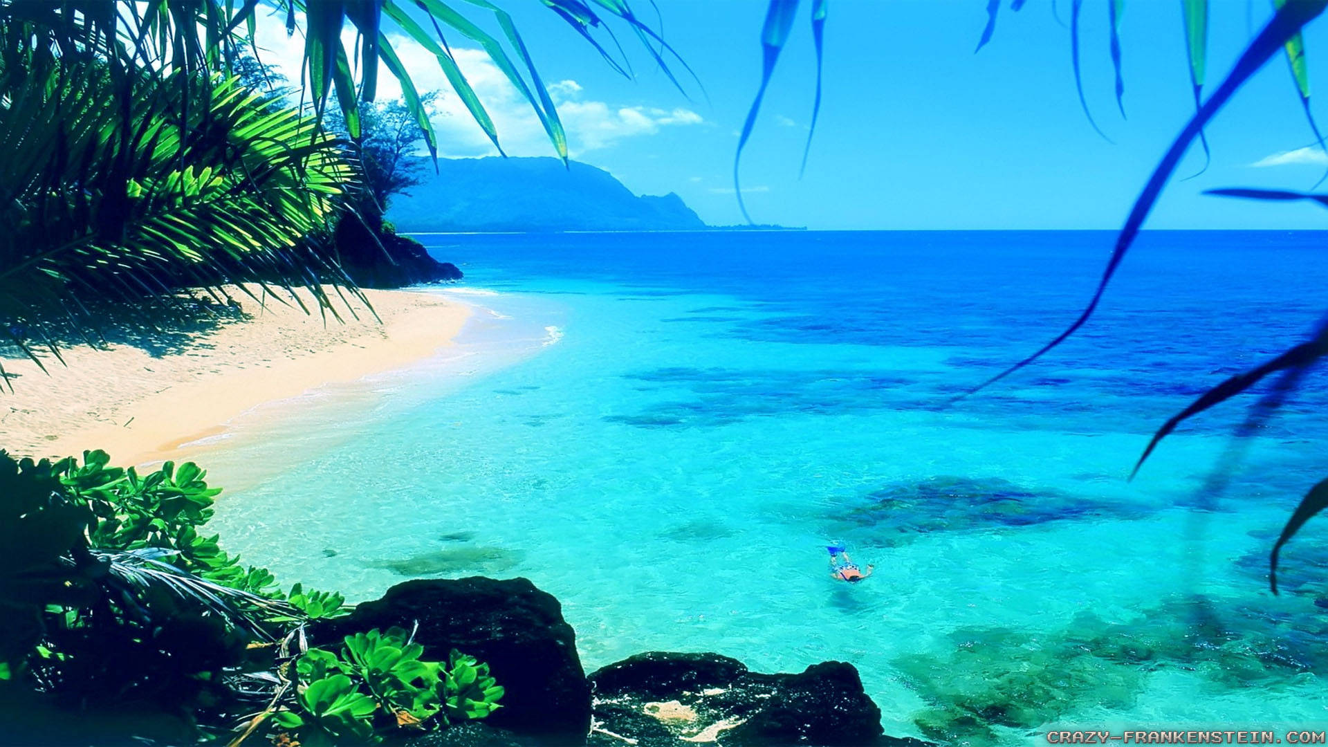 夏の自然が最高に輝く風景 壁紙
