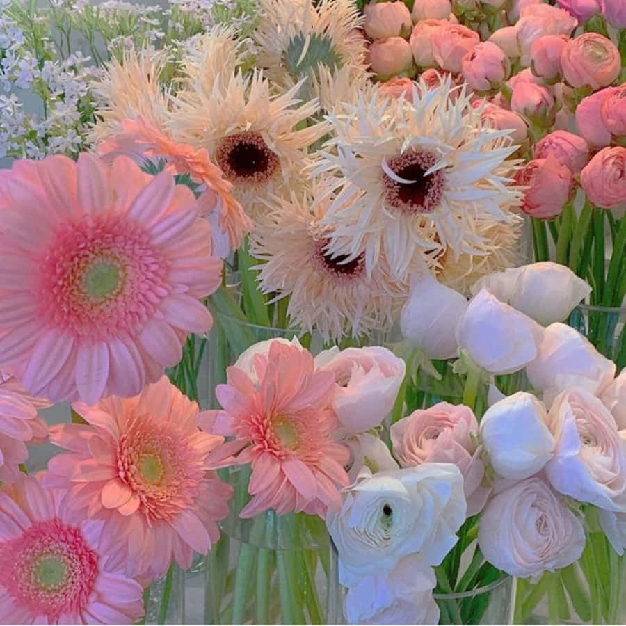 夏の間に咲く美しい白とピンクの花 壁紙