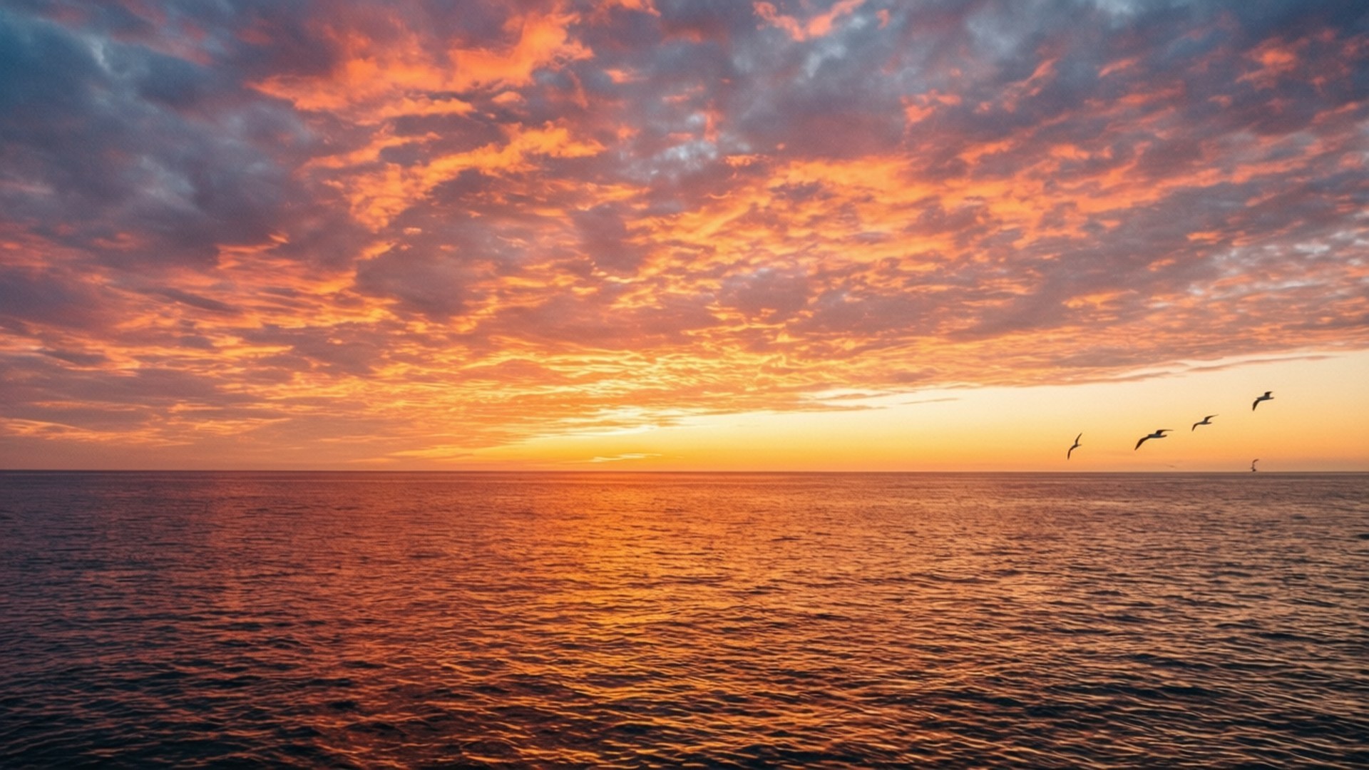 夕日と海の空 壁紙