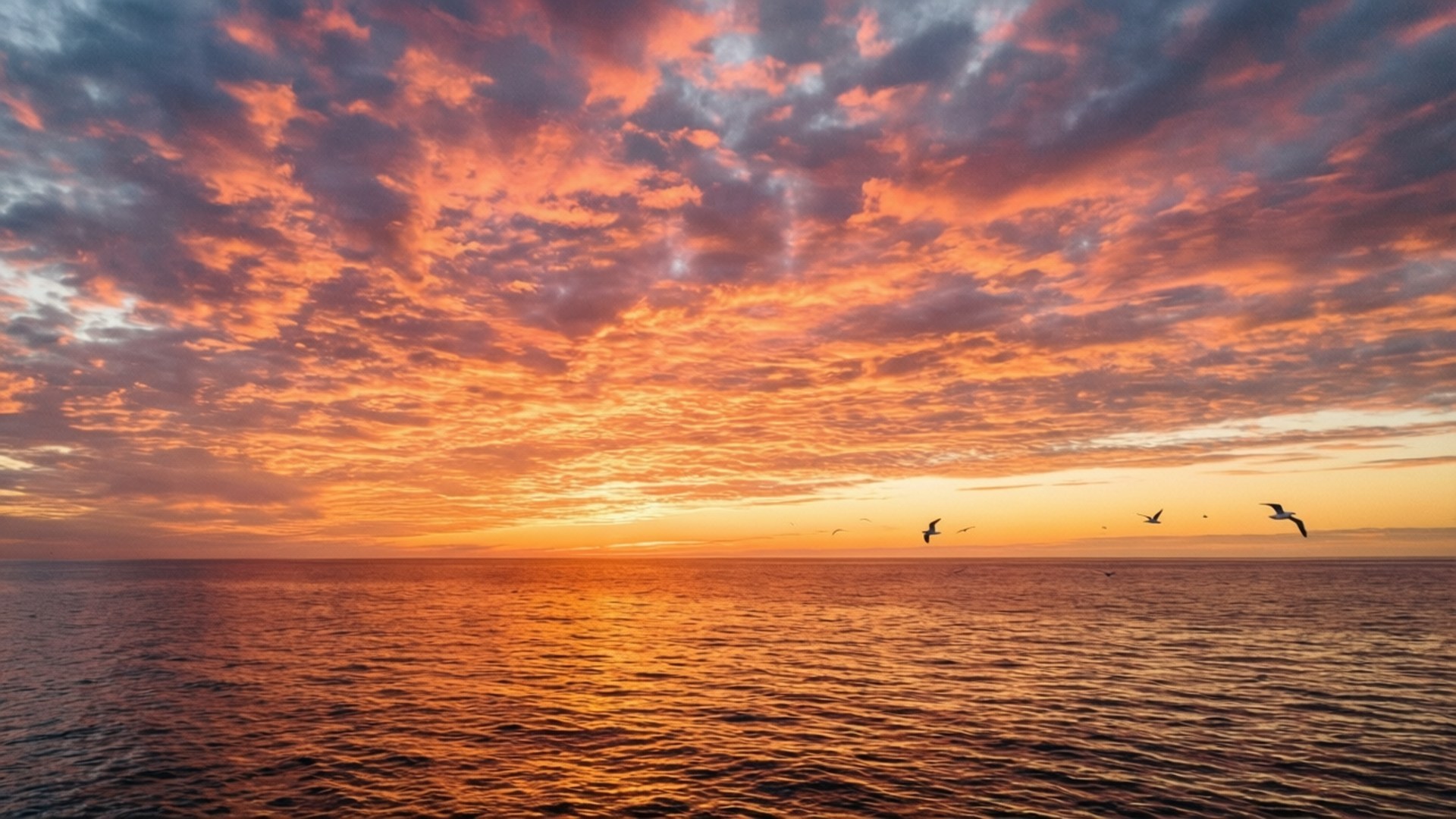 夕焼けの海と空 壁紙