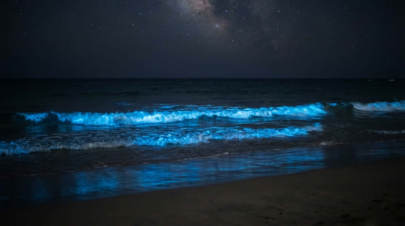 4Kの夜の海、夜の青い波、夜の海の壁紙、天の川の浜辺、輝く浜辺、生物発光する波、自然4K、自然、ビーチ、海の背景、海