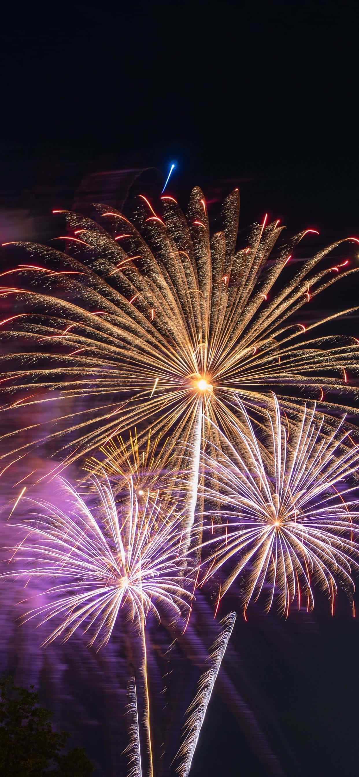 夜のオレンジと紫の花火の写真 壁紙